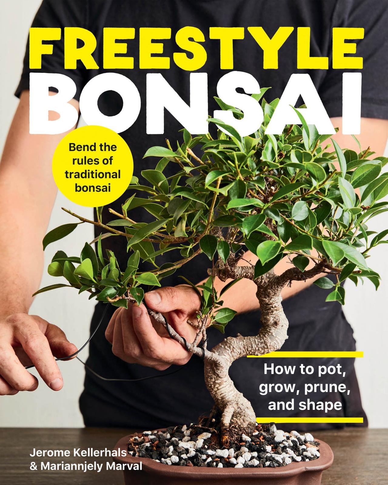 Freestyle Bonsai Cover Kathryn McCrary Photography.jpeg