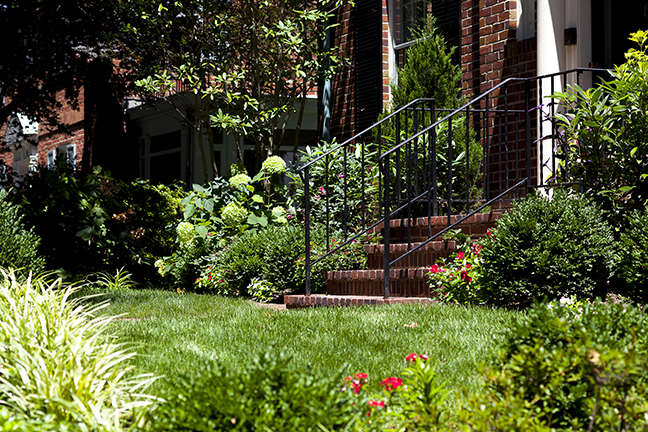 AFTER: Chevy Chase, MD