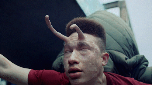 Vapourfly_PIGGYBACK_2xDirscut_20180518.gif