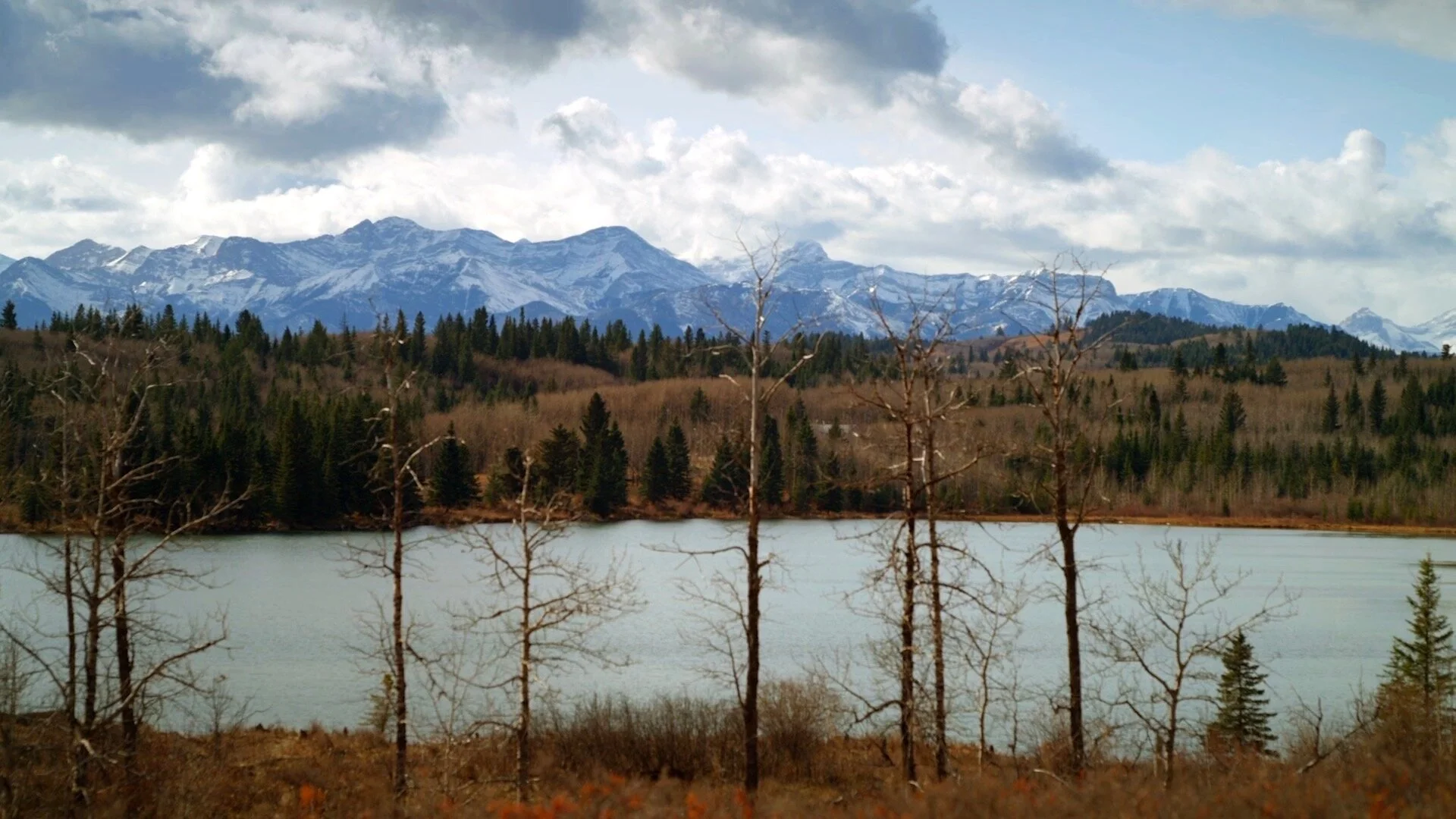 John Deere Presents - Fifth Generation