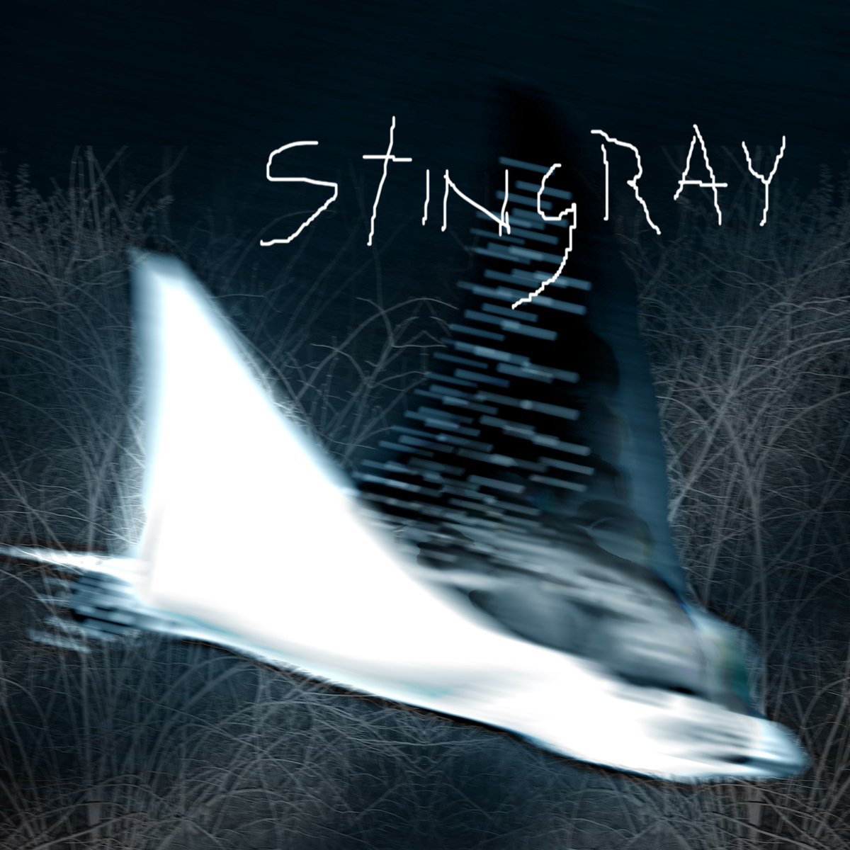 stingray single web final.jpg