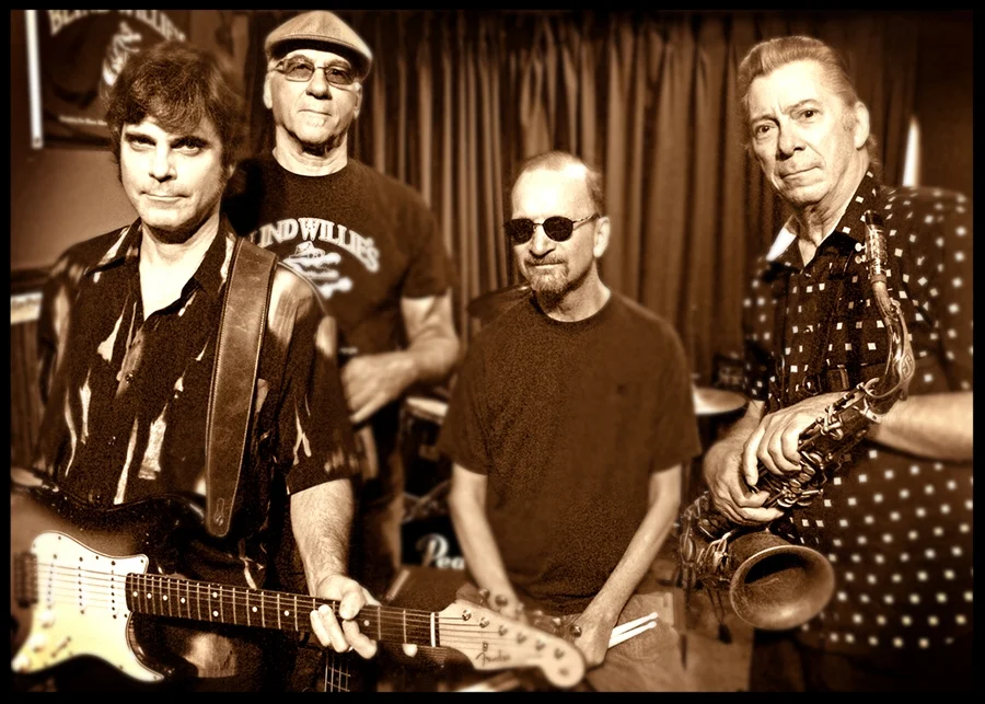 THE SHADOWS 2 O I 7