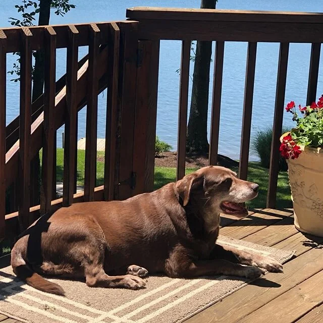 First lake trip since the start of the pandemic. The home crowd seems happy to see me.