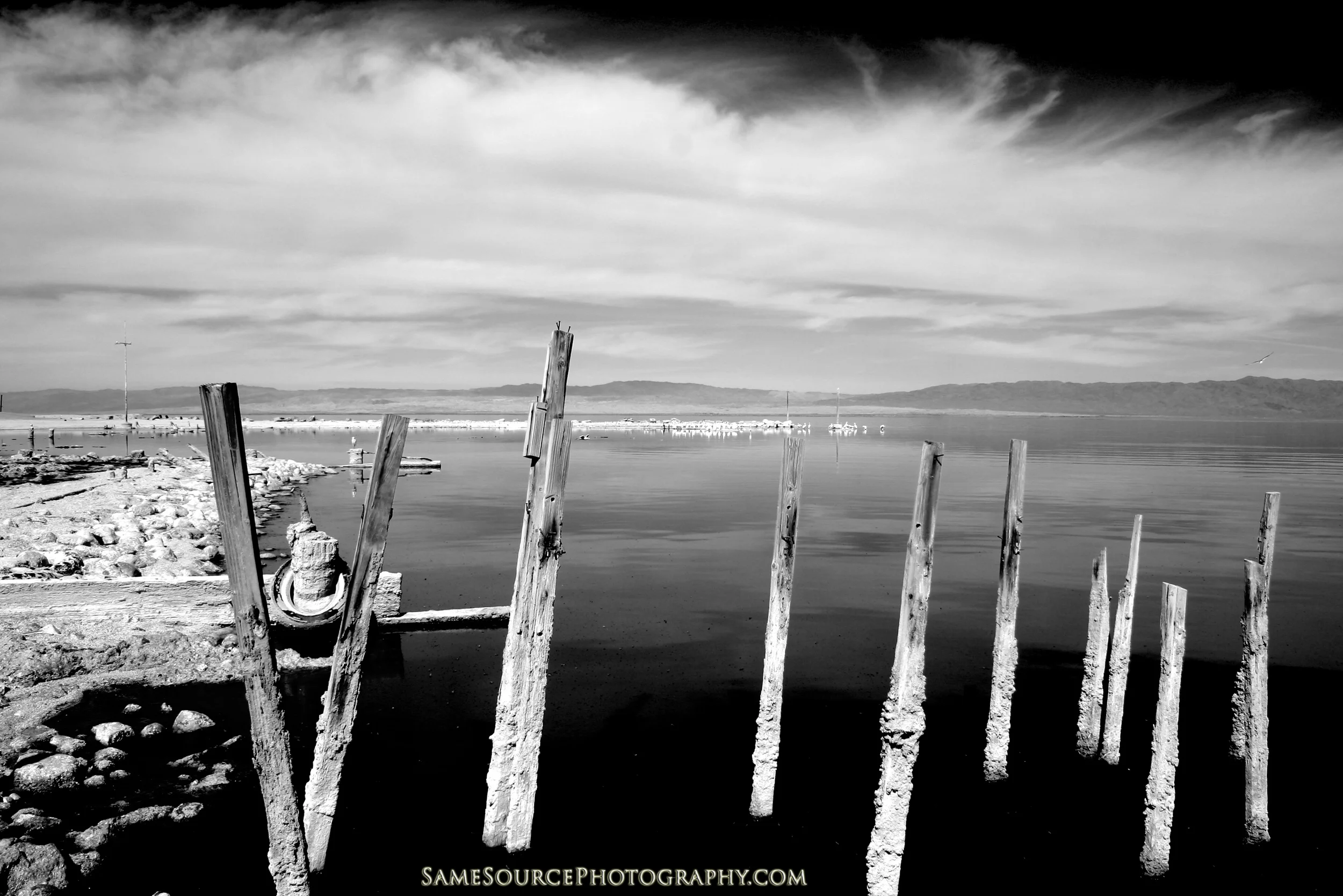 Salton Day