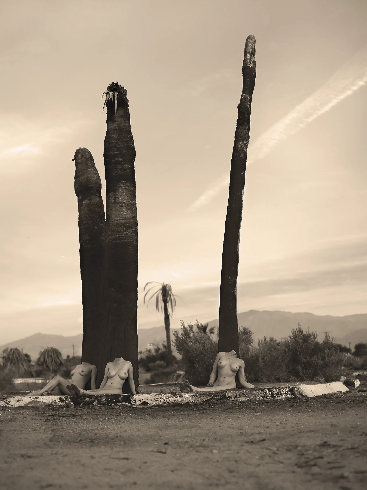 Objects of Ruin-.jpg