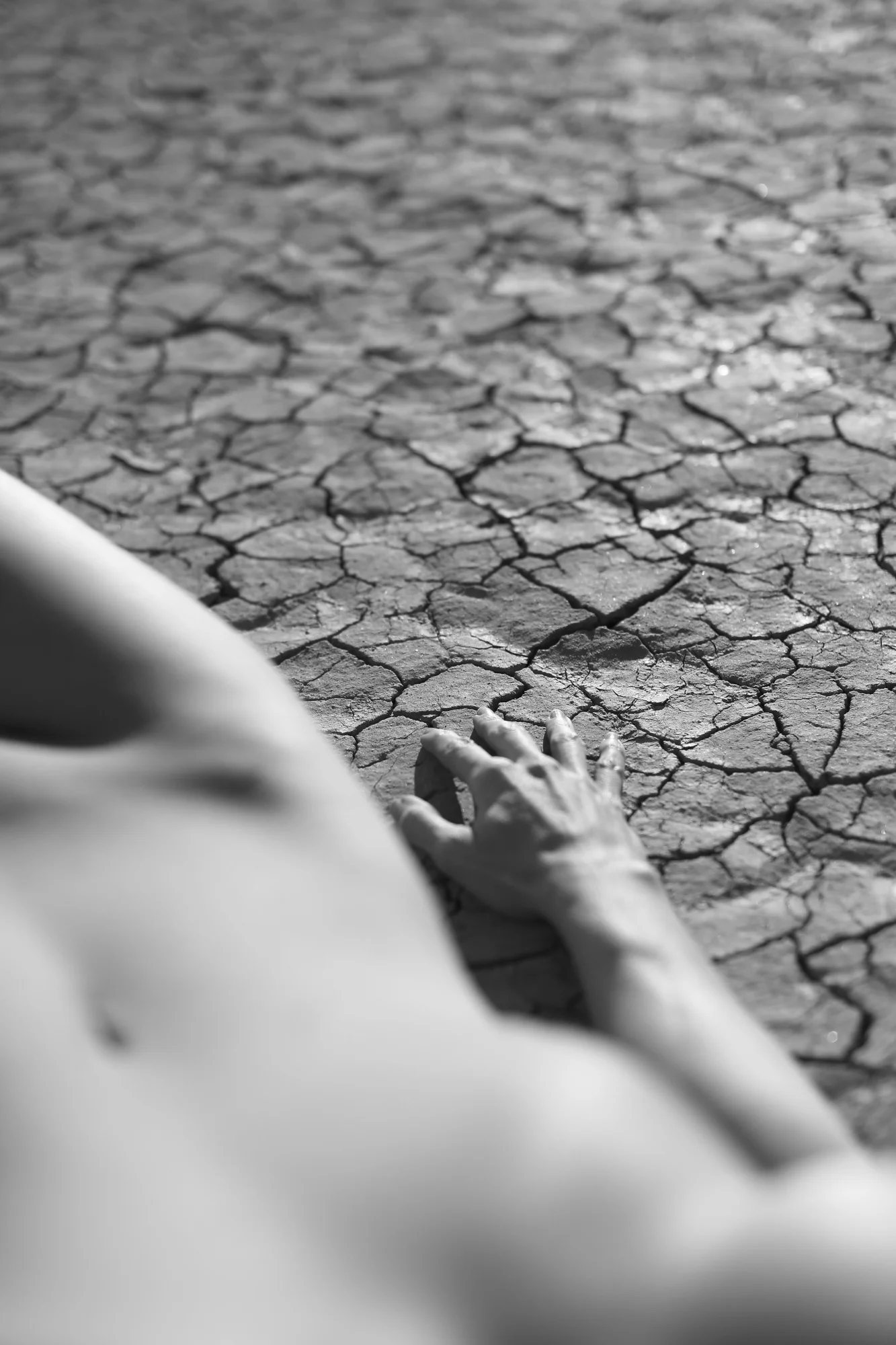 Objects of Ruin, XII-SameSource.jpg