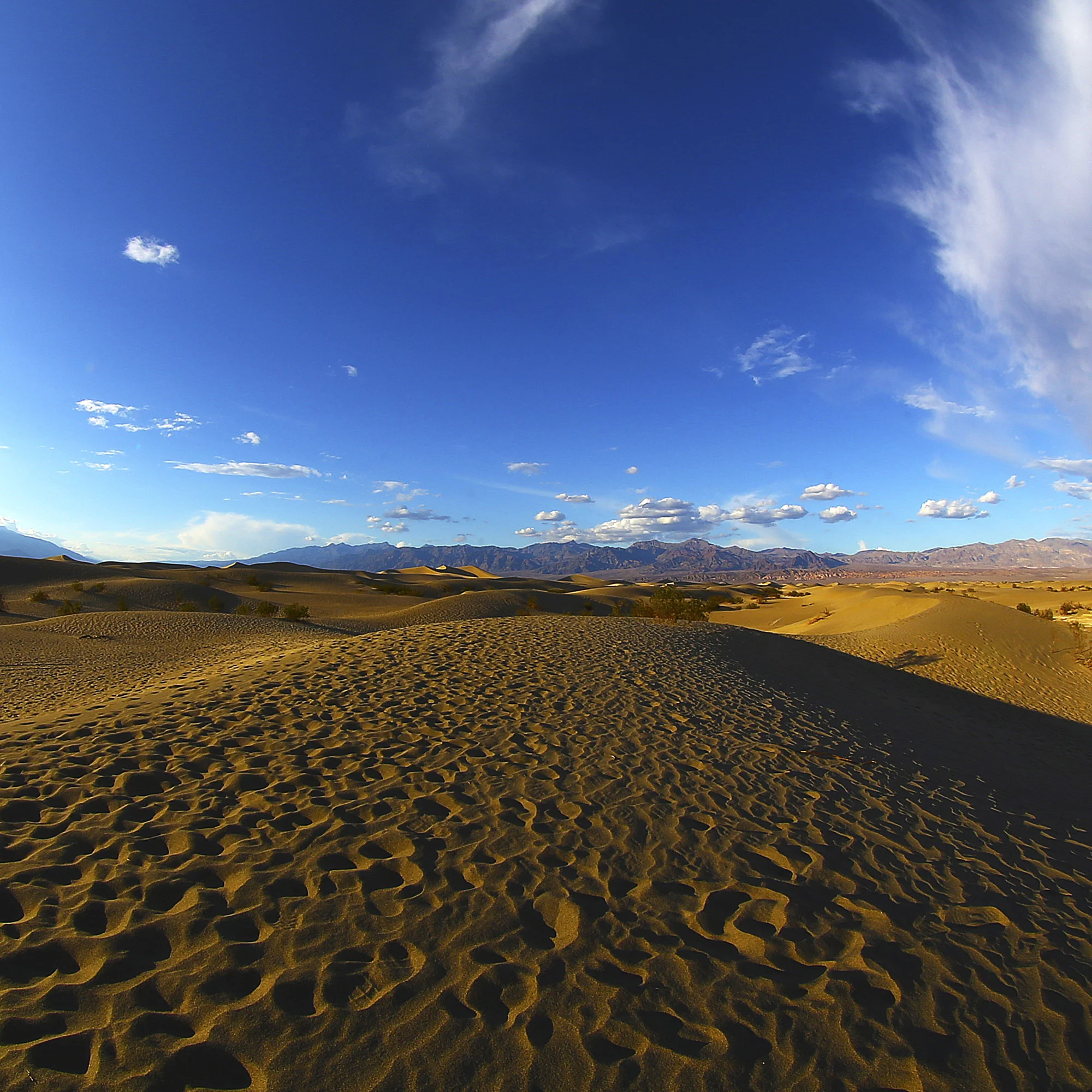 Path to Distant Storms-SameSource.jpg