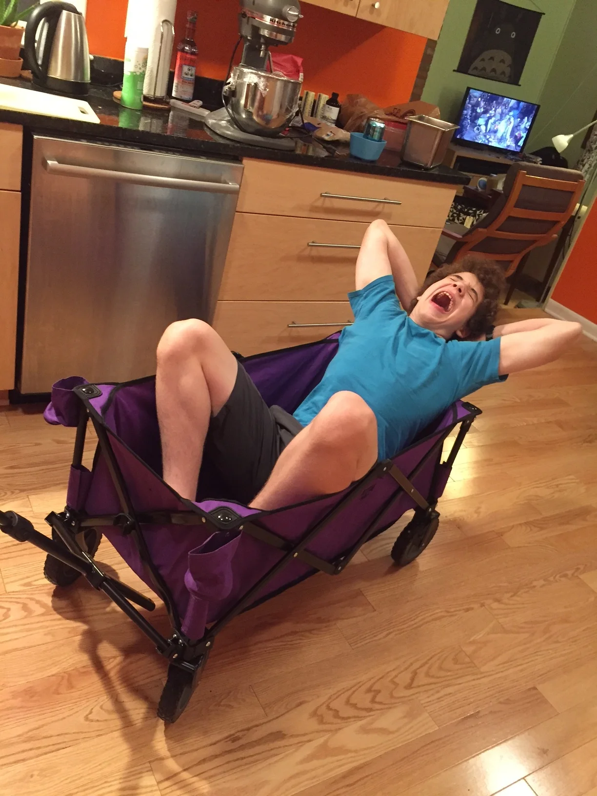 cart.jpg