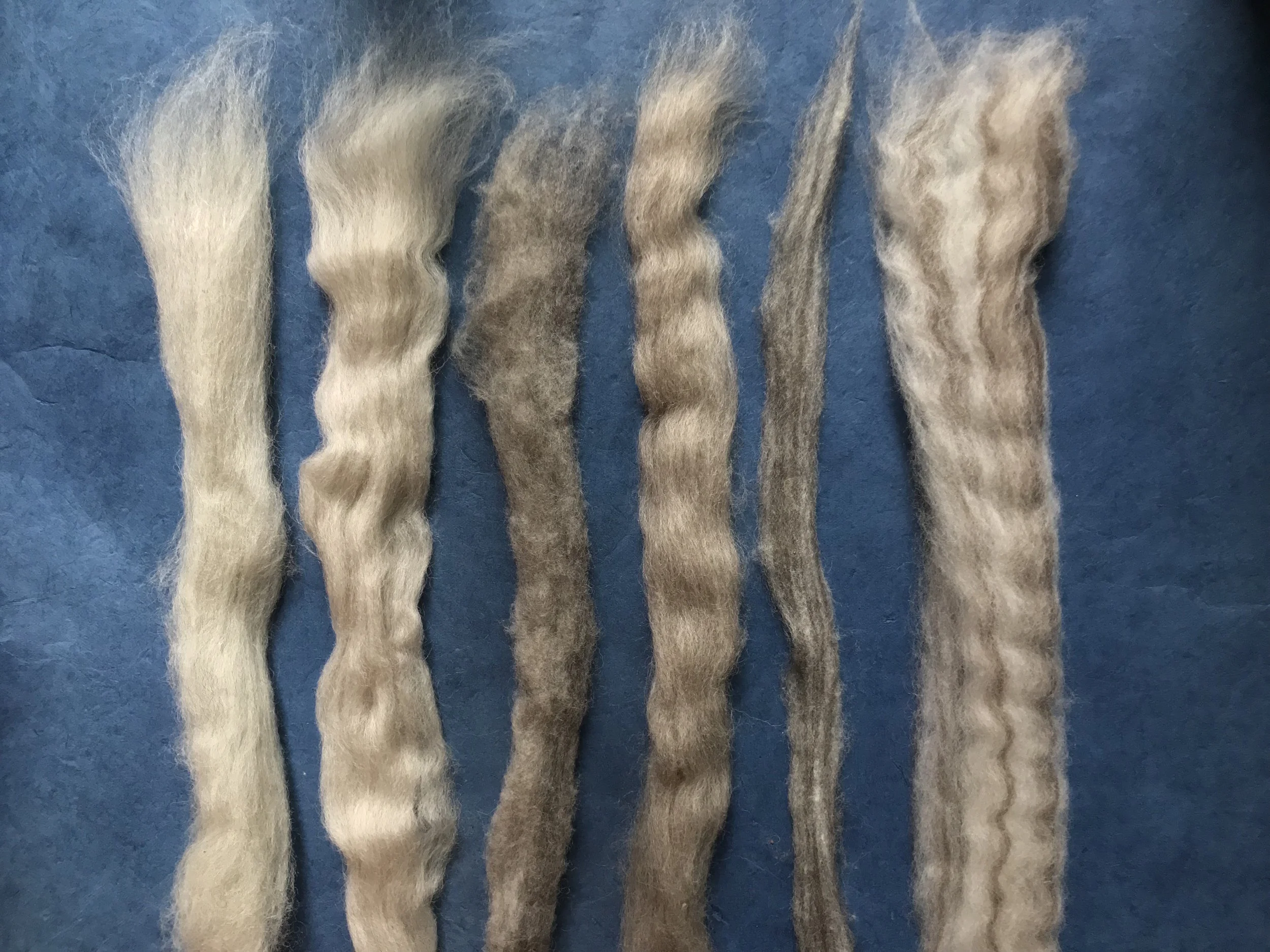 grey fiber .jpeg