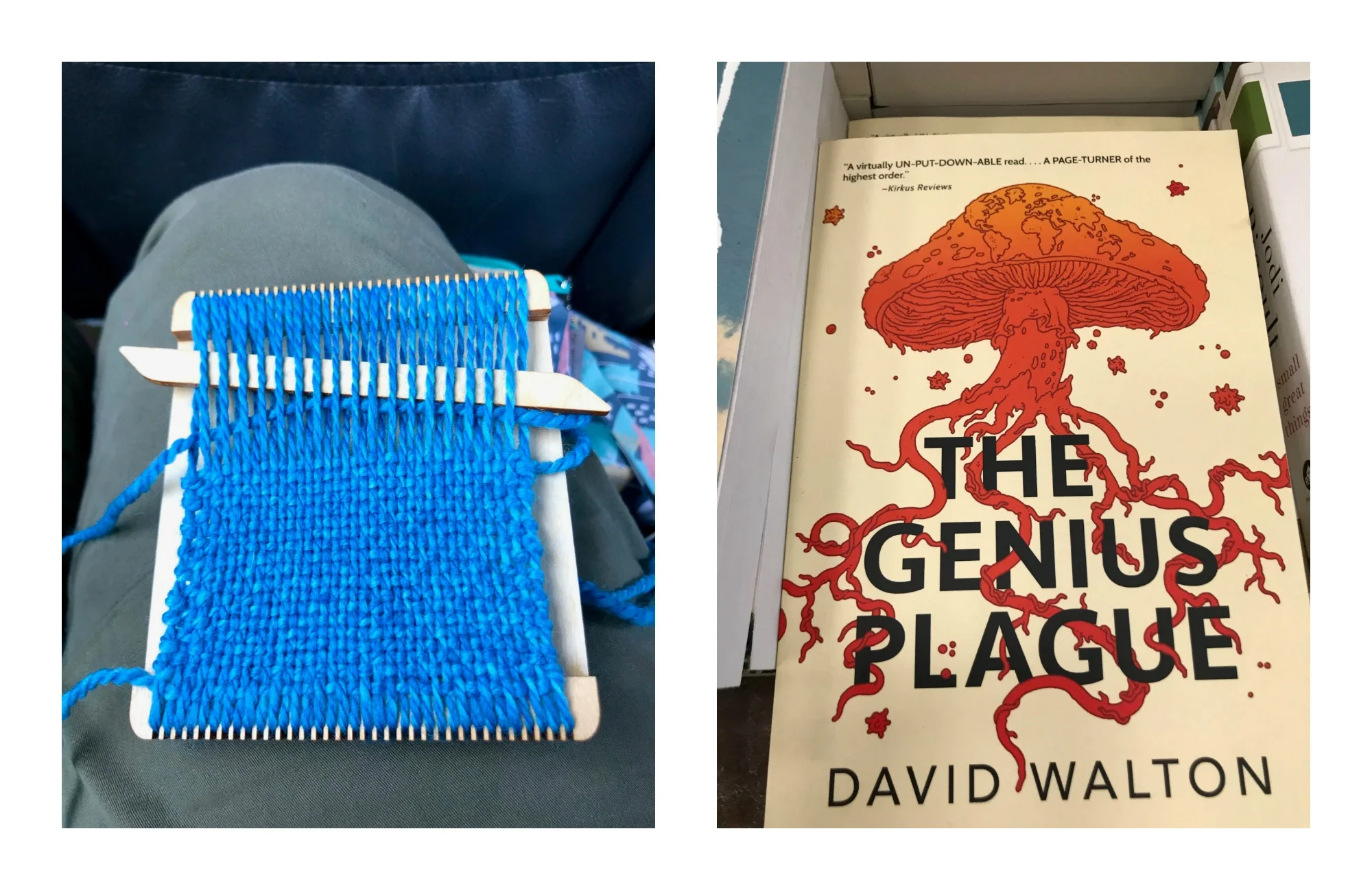 weave book.jpg