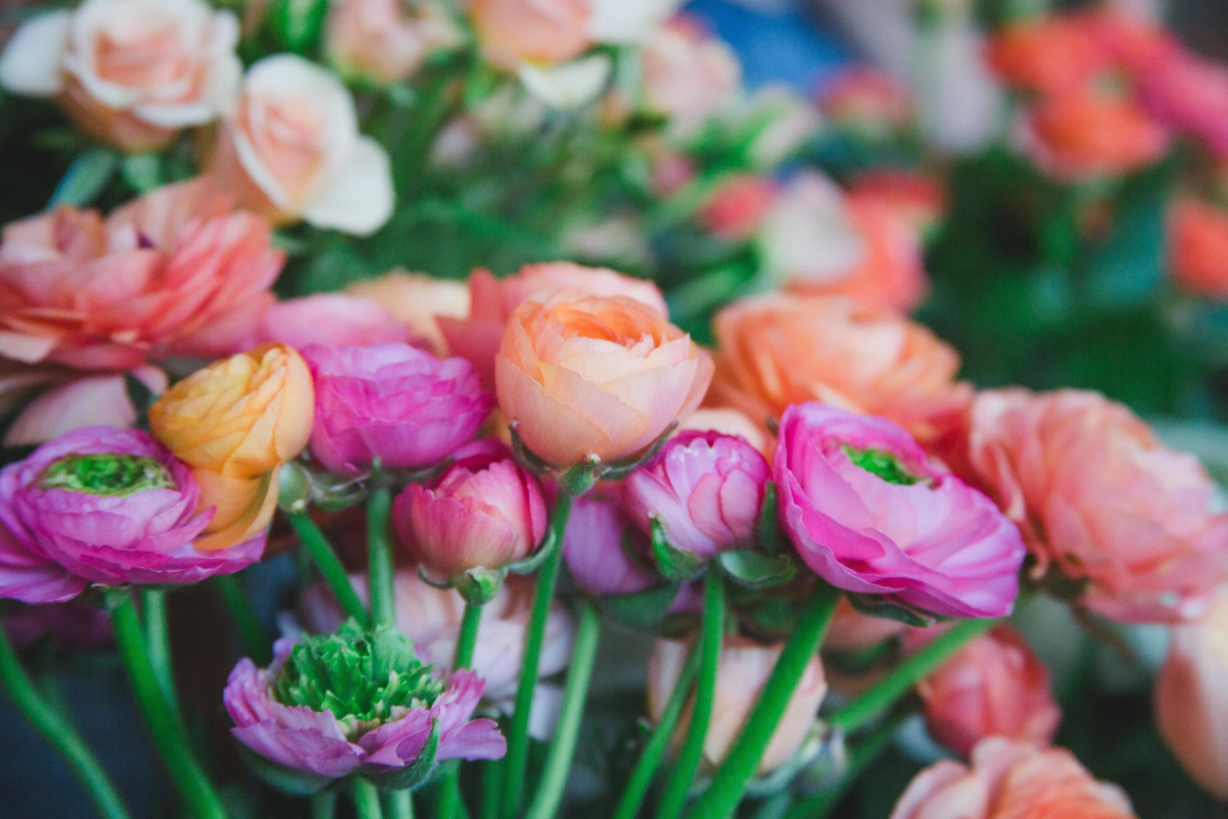 STUDIO CHOO BRIDAL SHOWER-80.JPG