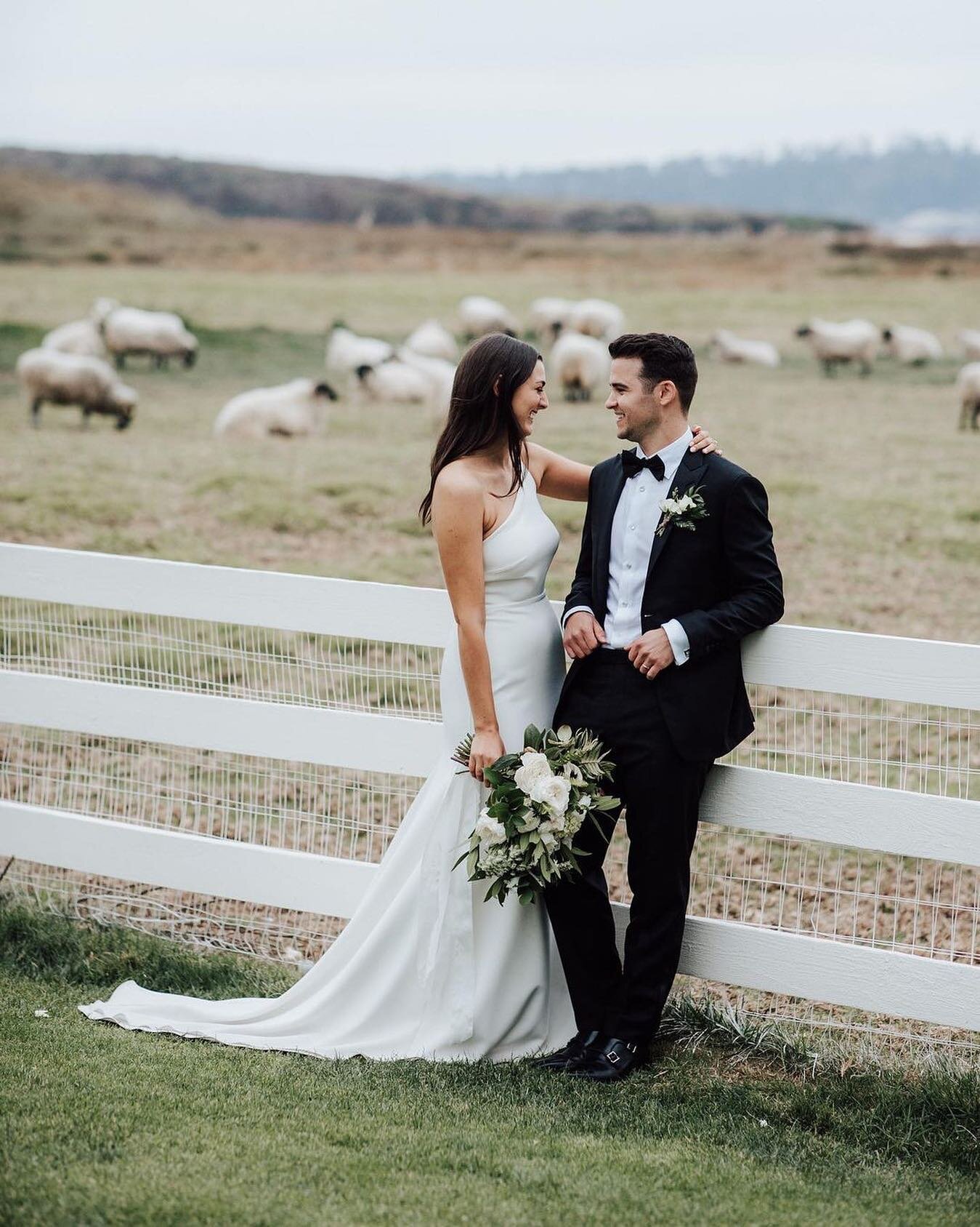 Tessie + Willie, captured beautifully by @thedelauras 🐑 

Ceremony: Carmel Mission Basilica
Reception @missionranchcarmel
@eventsatmissionranch
Photography:  @thedelauras
Floral: @_willowandplum
Hair &amp; Makeup: @blushhairandmakeupdesign 
Wedding 