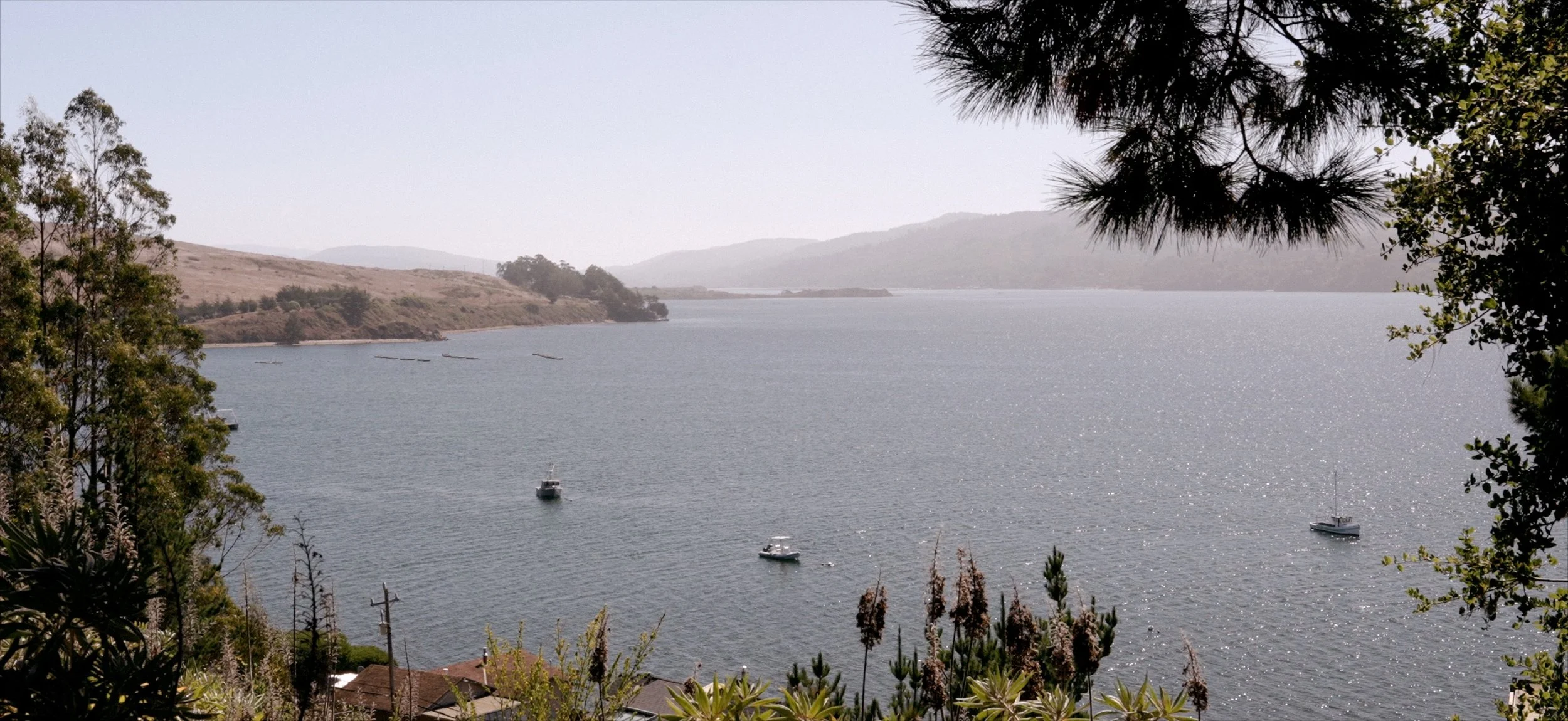 Wedding FilmBACK.jpg