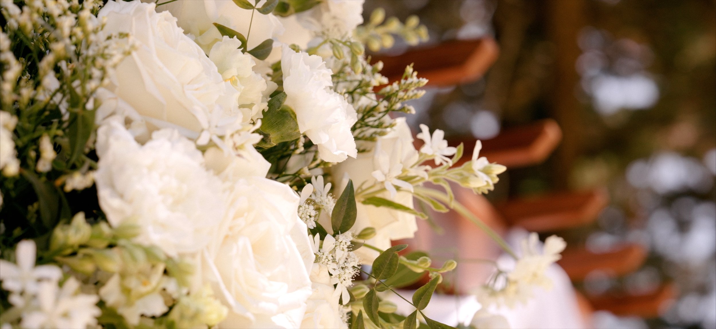Wedding Filmback.jpg