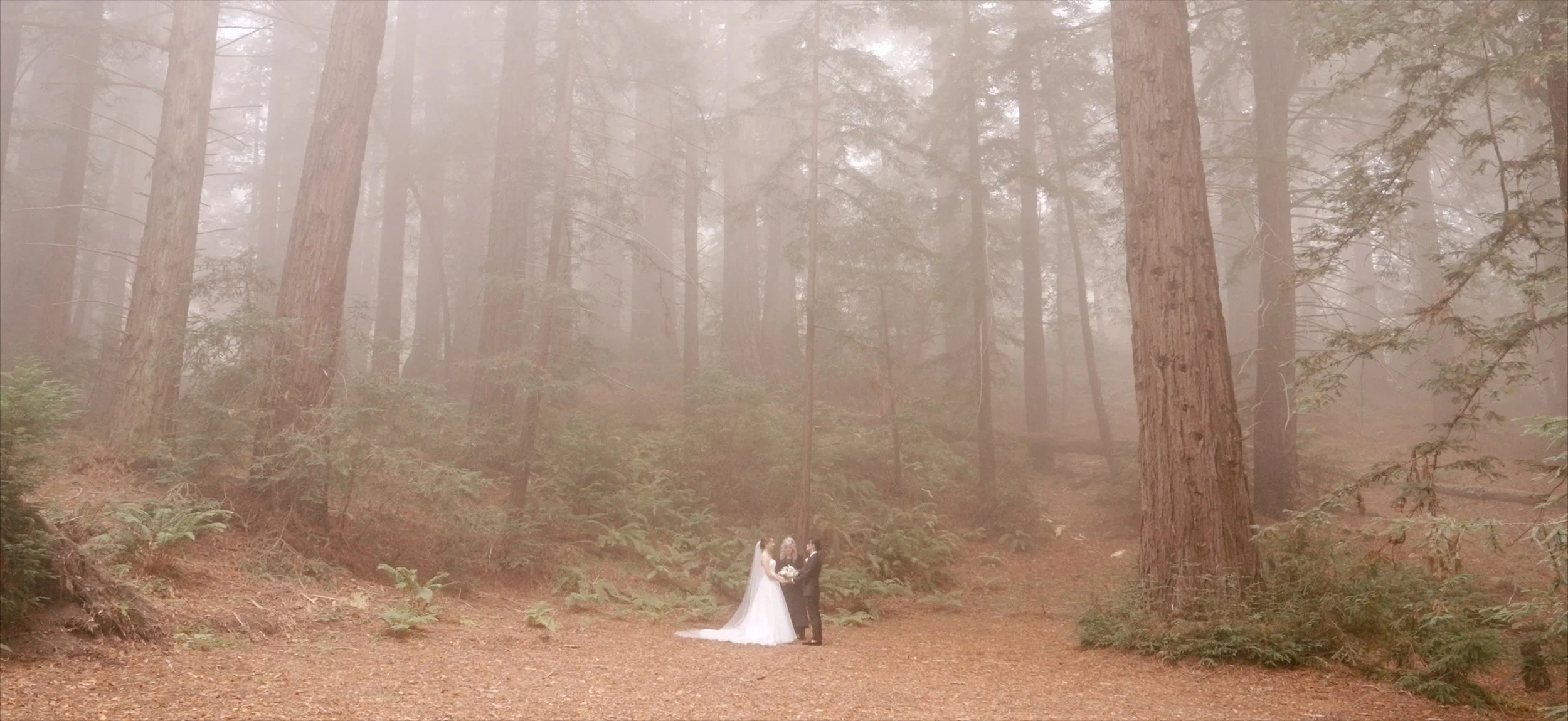 Elopement FilmBACK.jpg