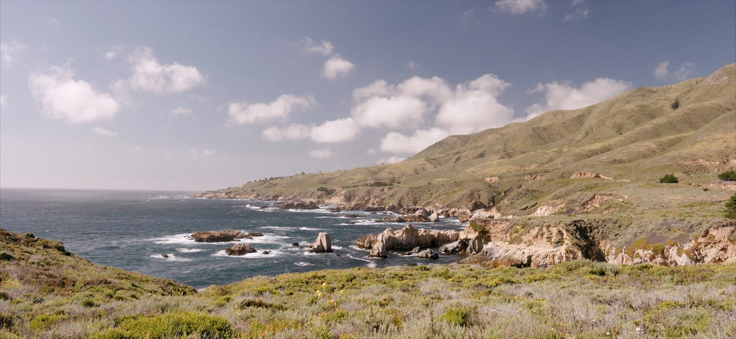 Elopement Filmback.jpg