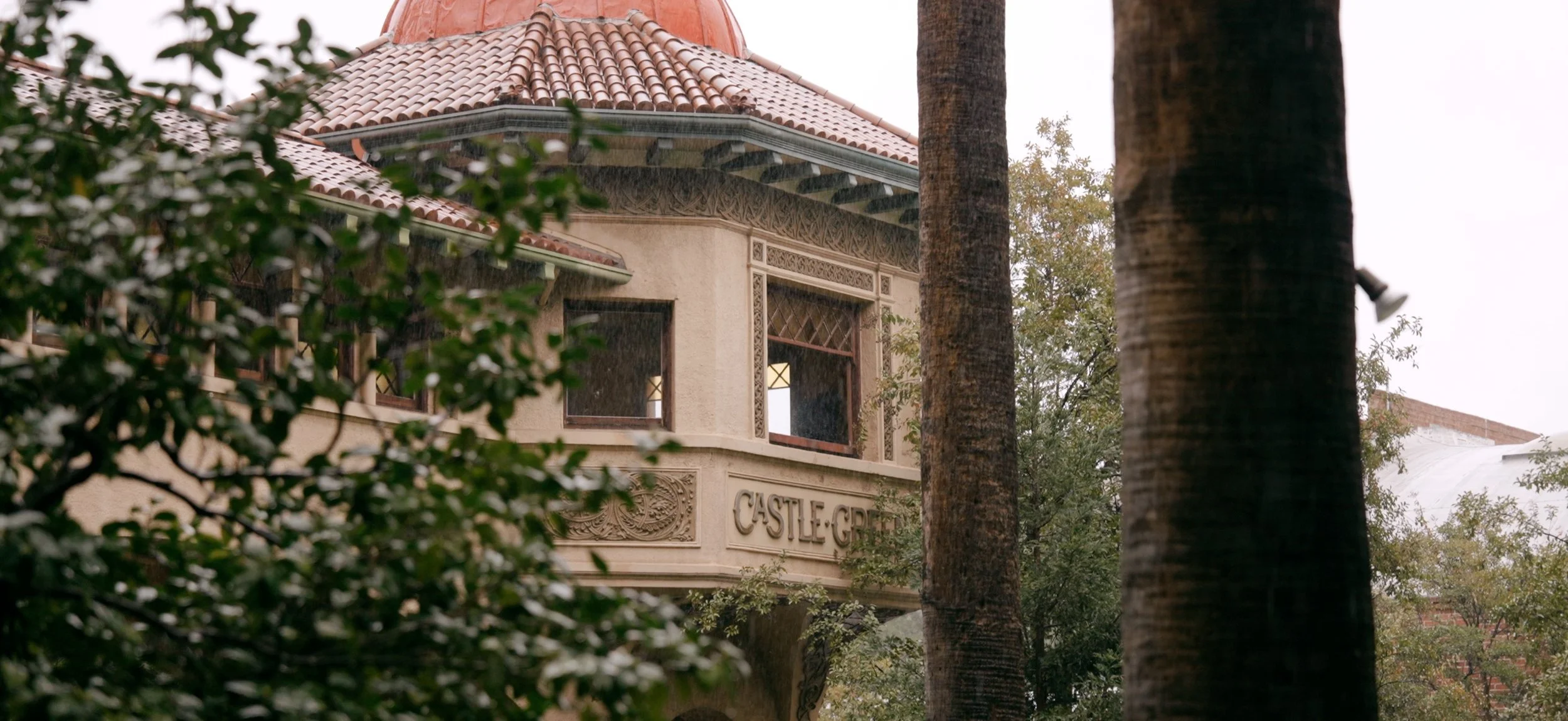 Wedding Filmback.jpg