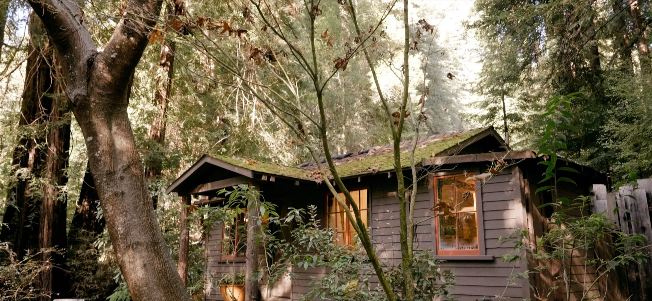 Elopement FilmBACK.jpg