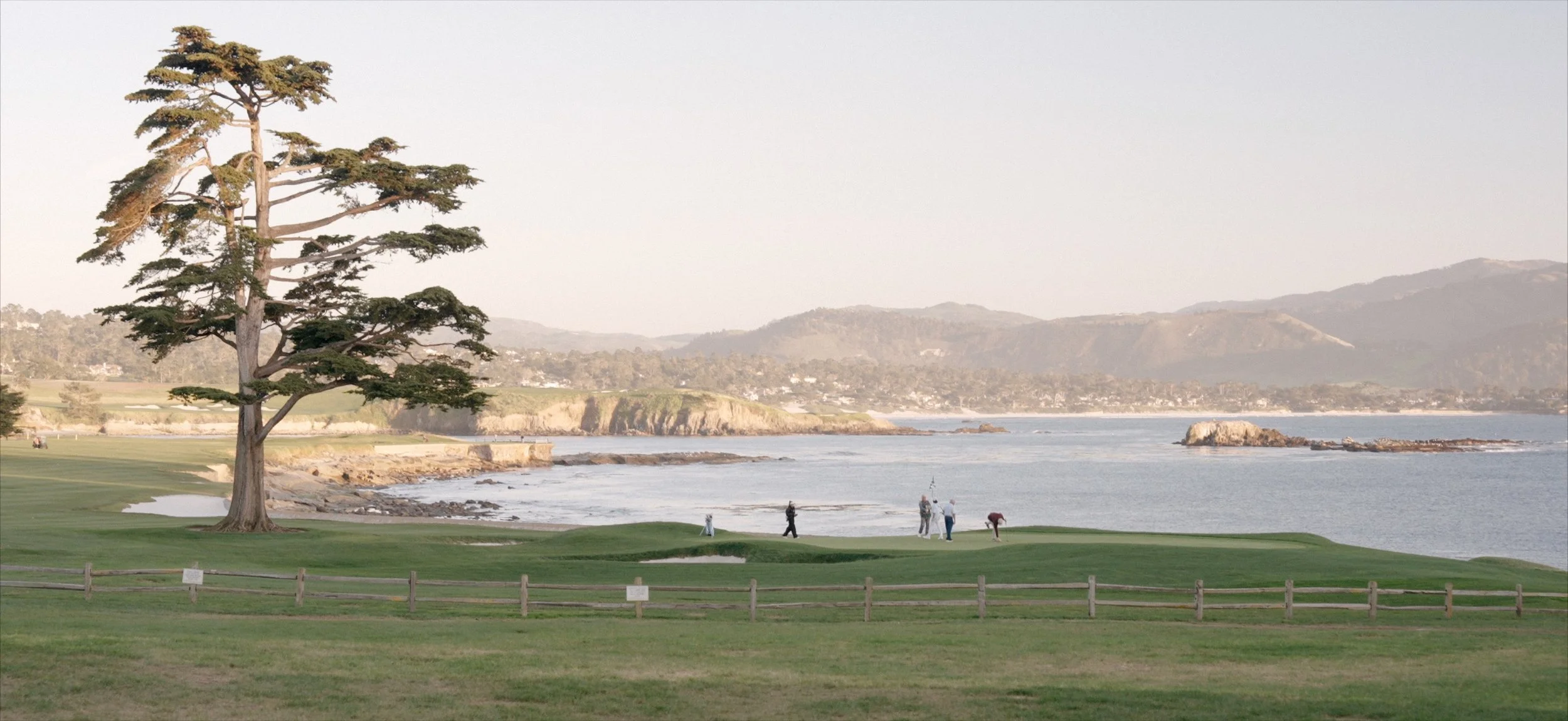 Elopement FilmBACk.jpg