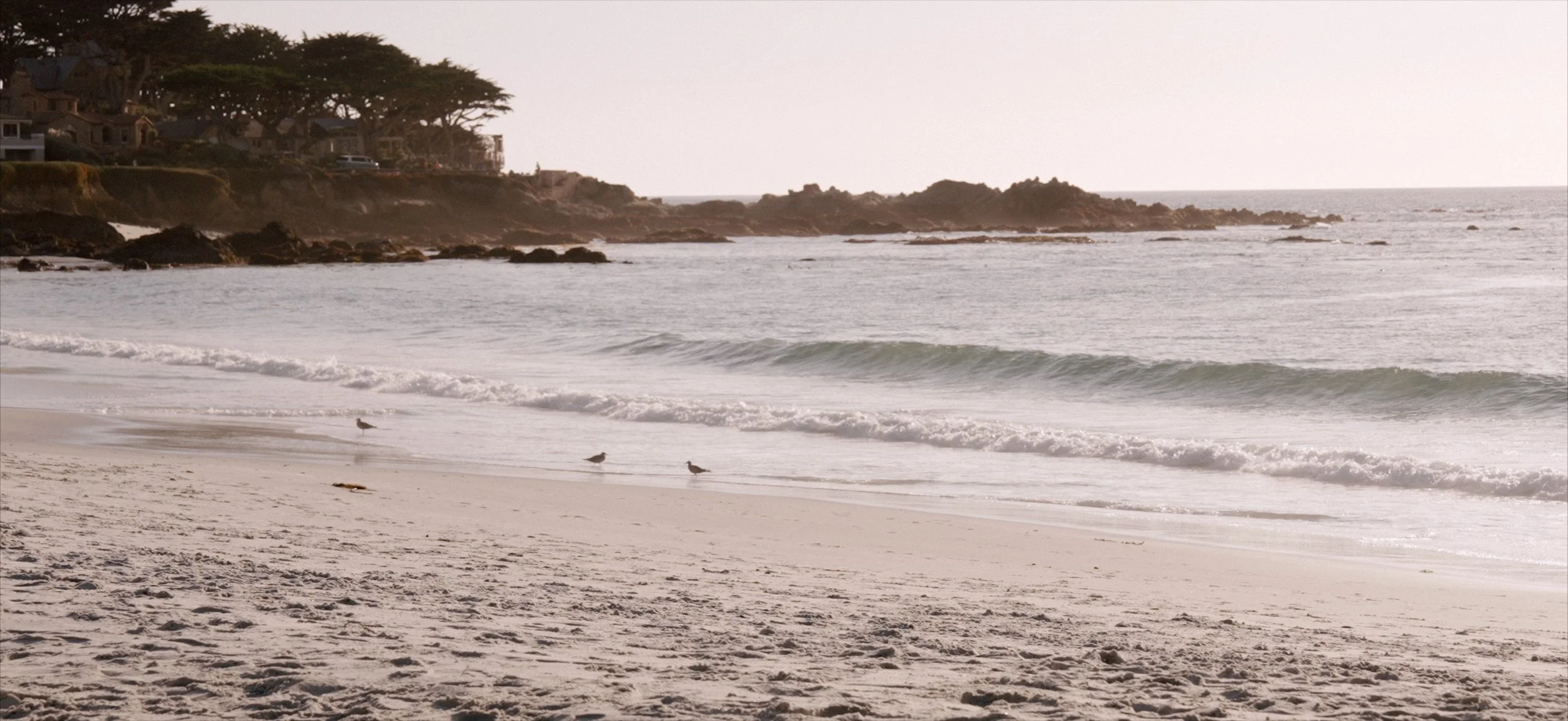 Elopement FilmTHUMB.jpg