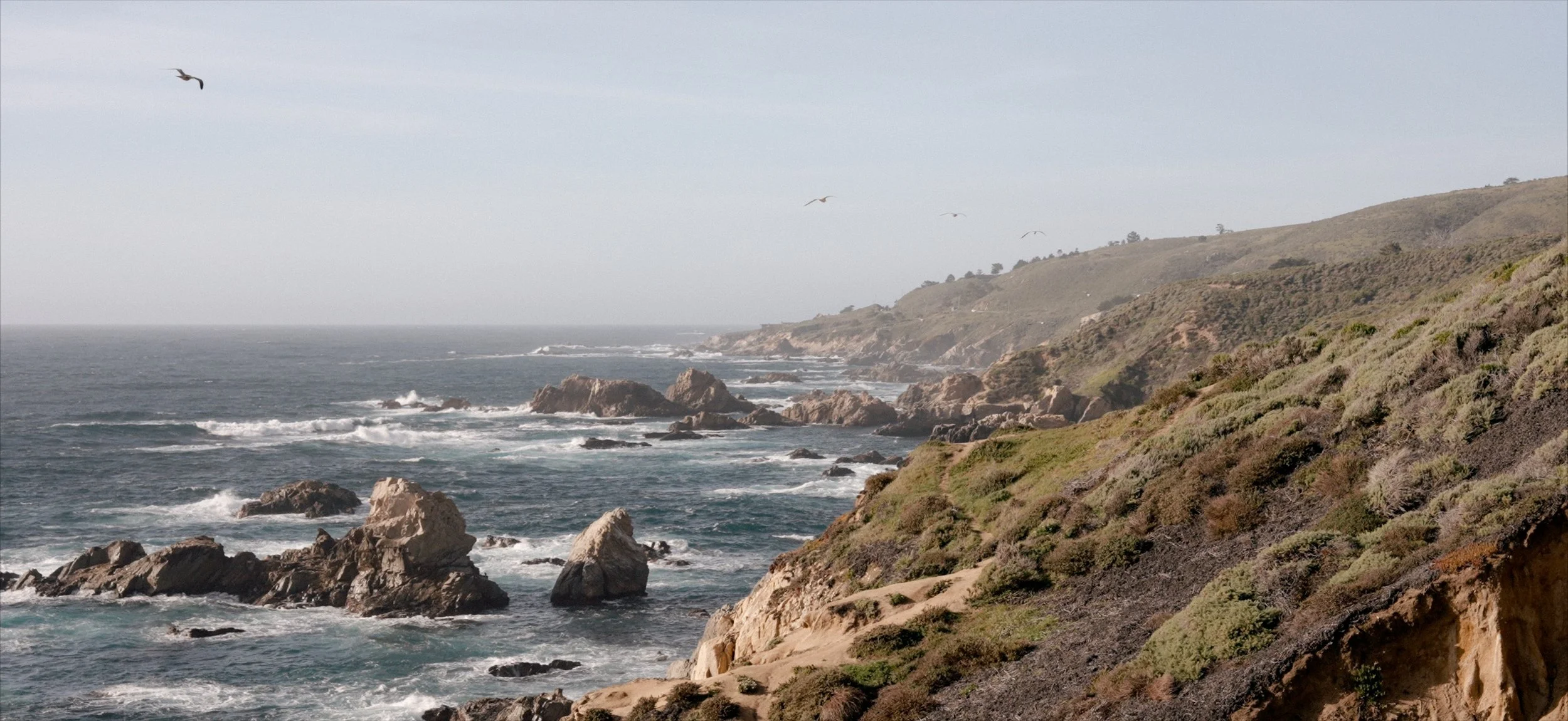 Proposal FilmBACK.jpg