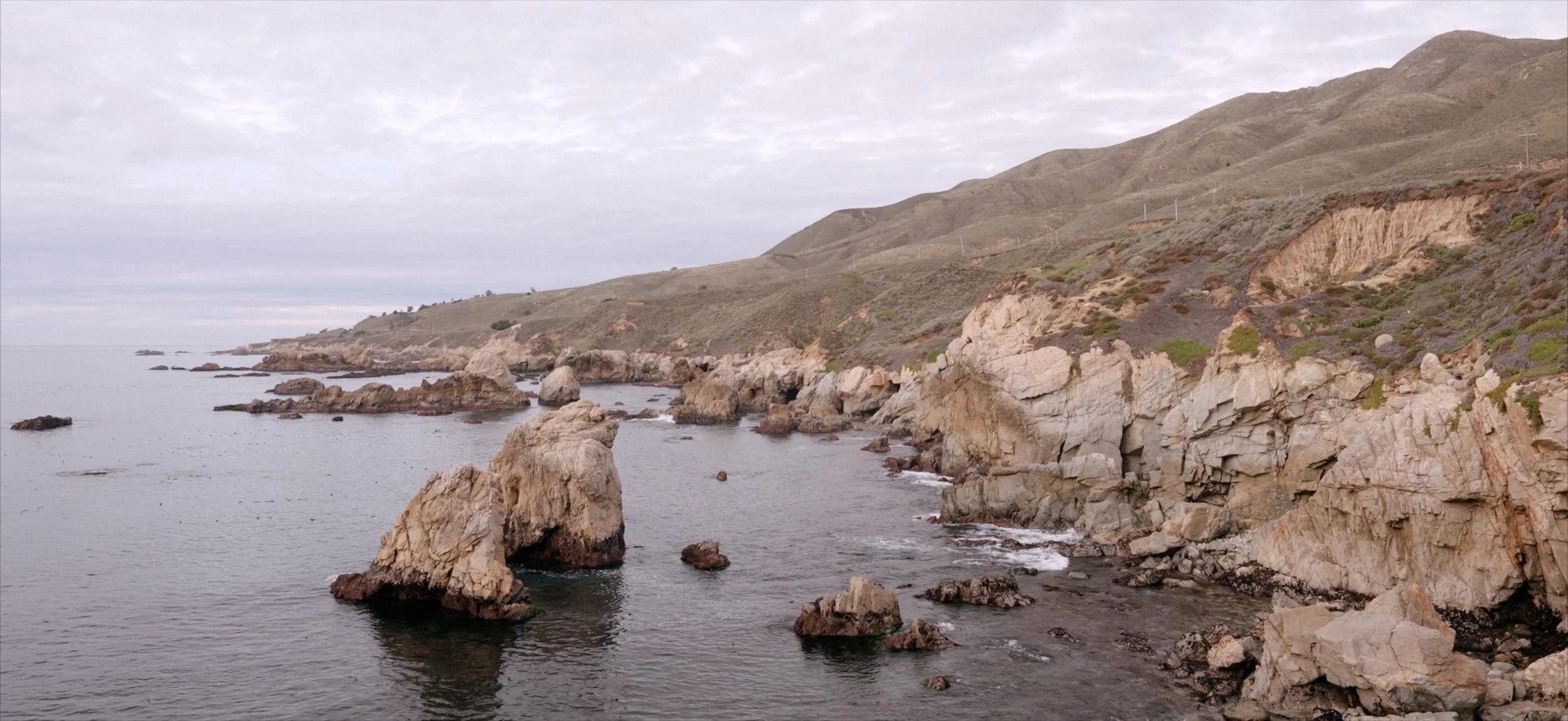 Elopement Filmback.jpg