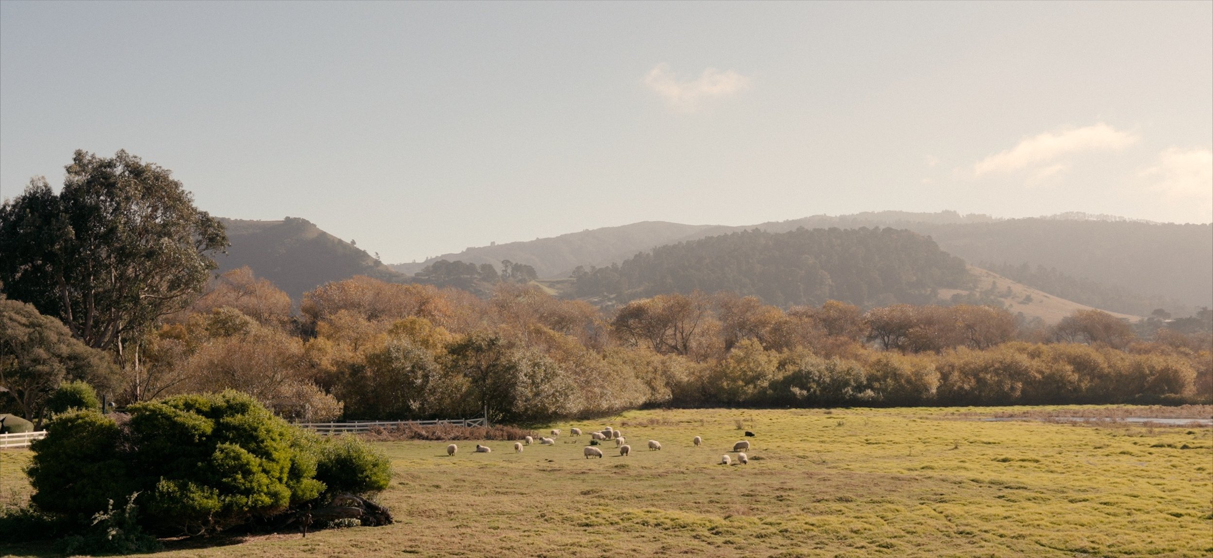 Wedding Film BACK.jpg