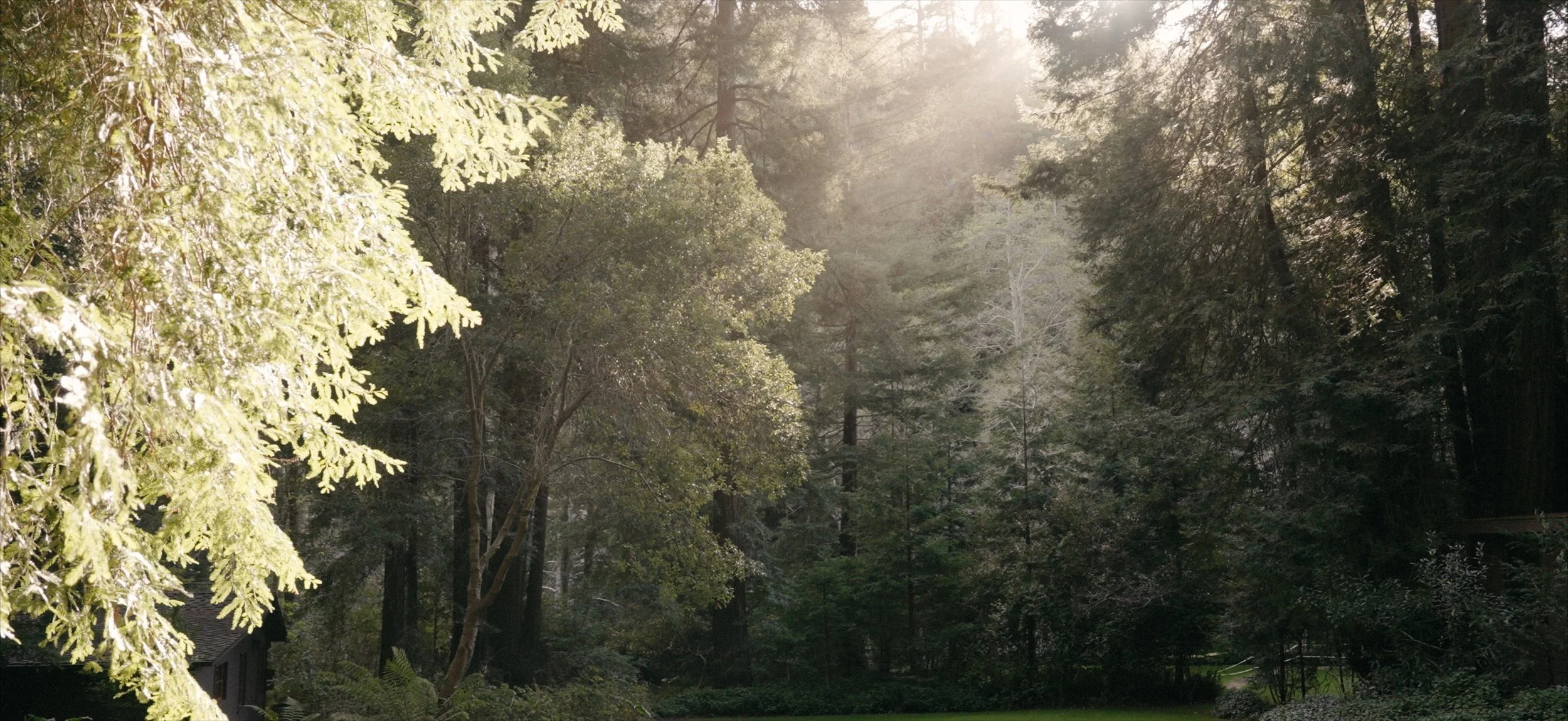 Elopement Film marissa jake baclk.jpg