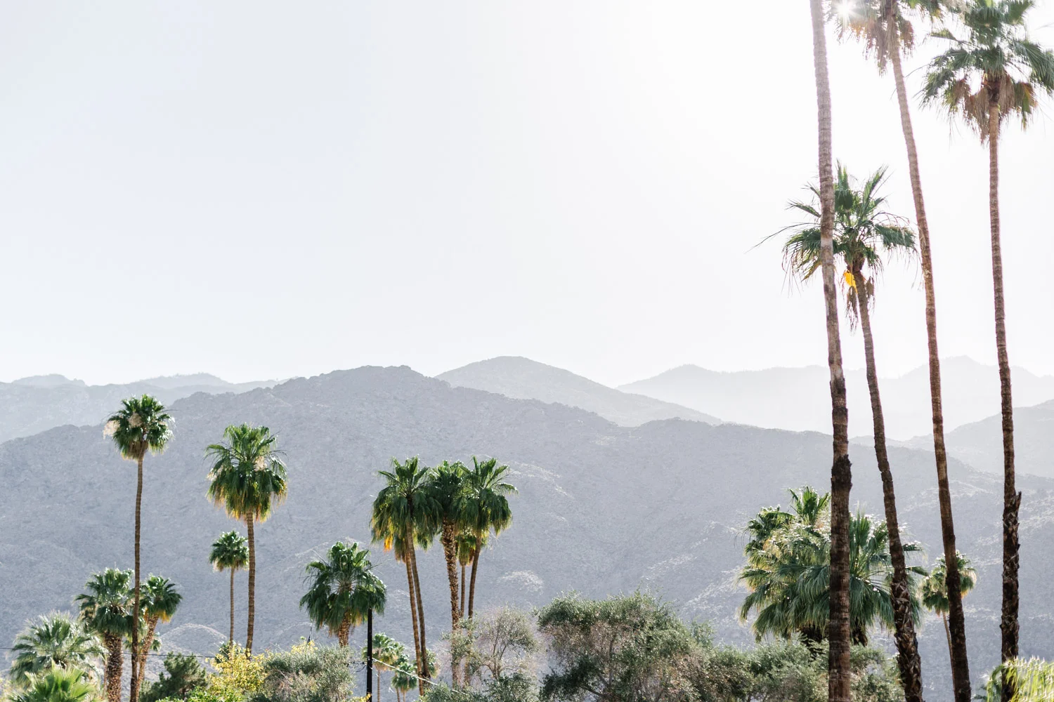 Marnie Hawson - Palm Springs