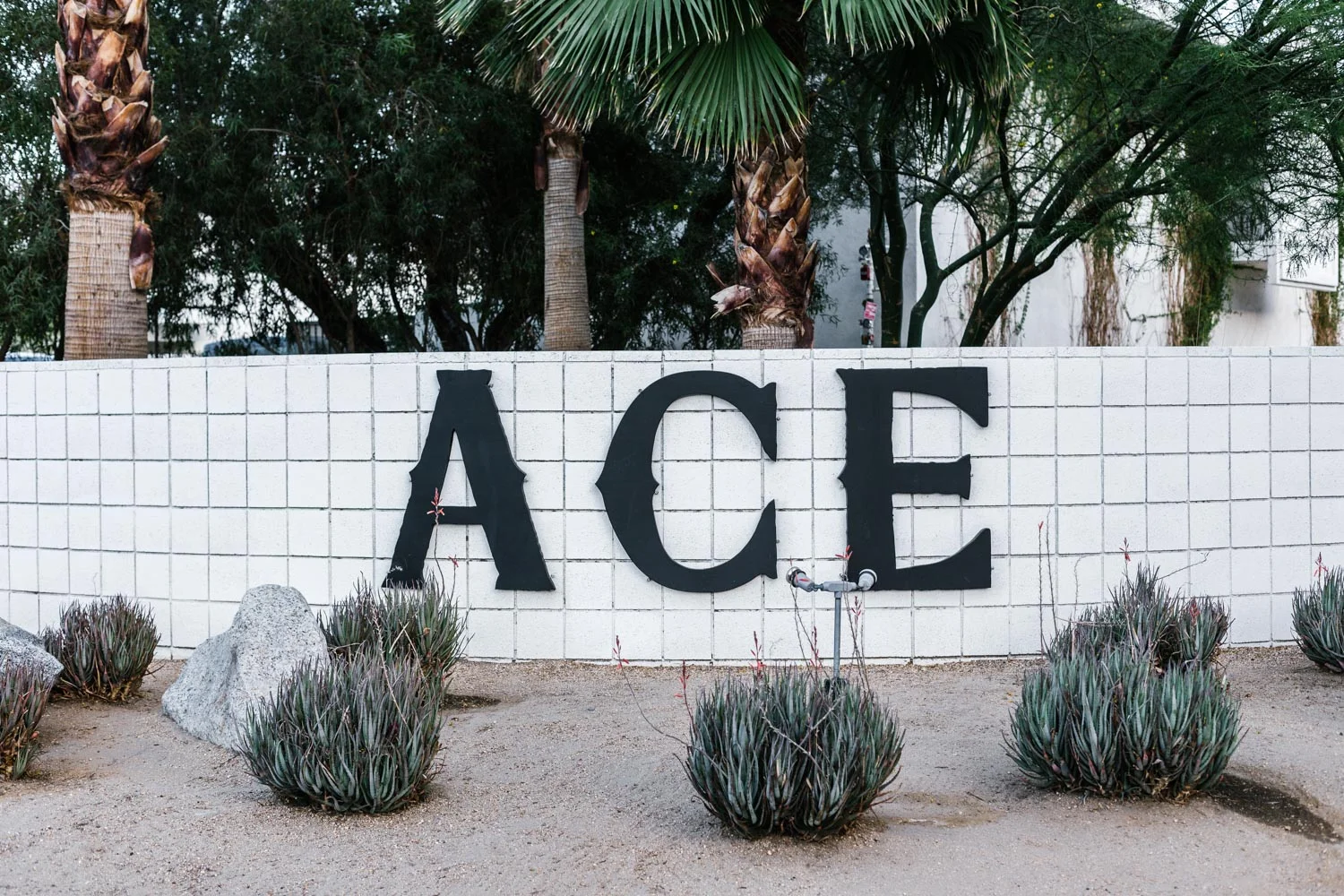Marnie Hawson Melbourne  &nbsp;travel photographer, Palm Springs Ace Hotel