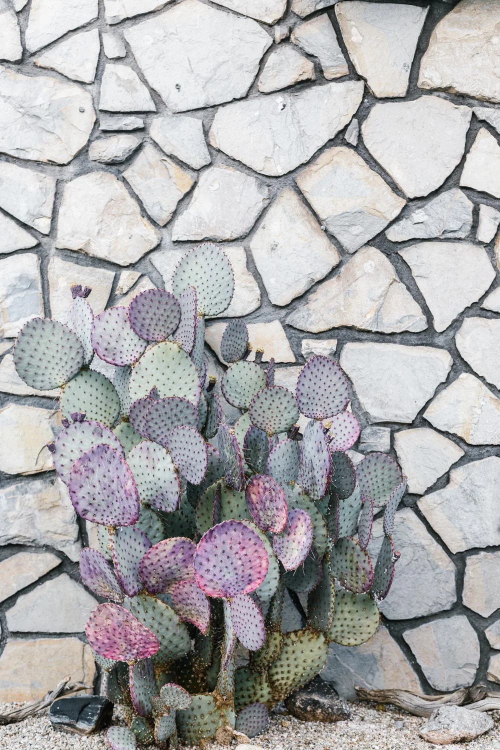 Marnie Hawson Melbourne  &nbsp;travel photographer, Palm Springs Ace Hotel