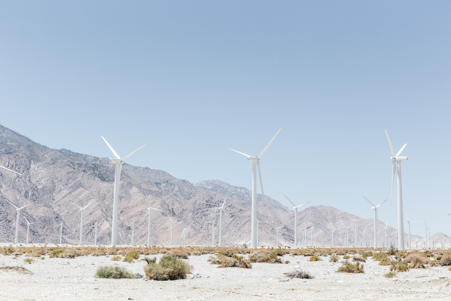 Marnie Hawson - Palm Springs
