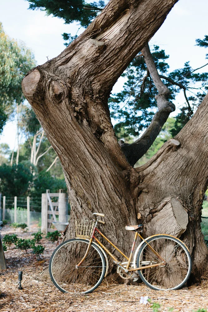 Marnie Hawson Melbourne  &nbsp;photographer, Kiltynane Wines