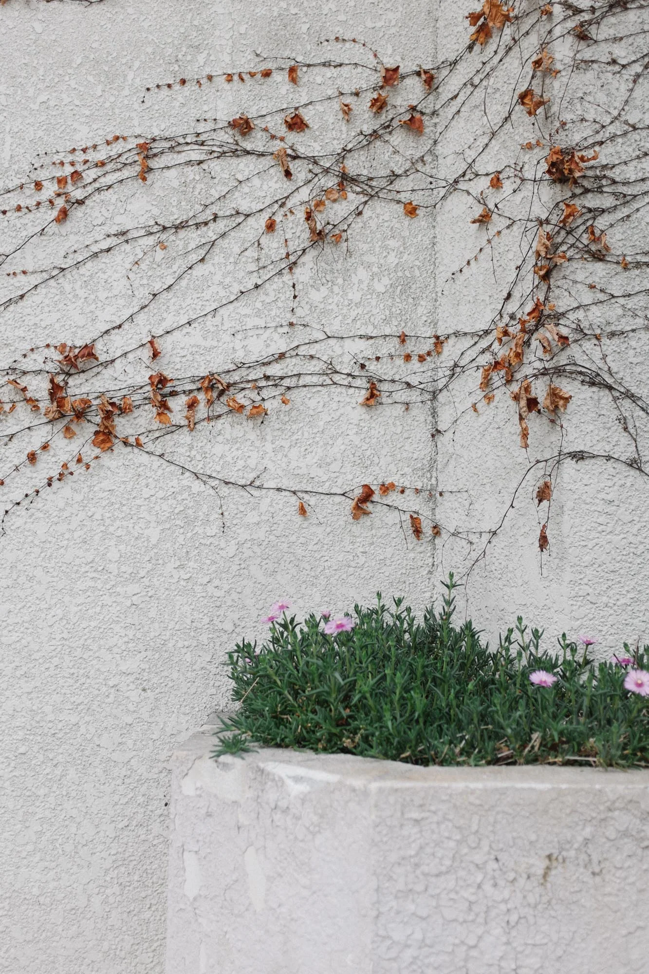 Marnie Hawson Melbourne travel and lifestyle photographer, Japanese architecture