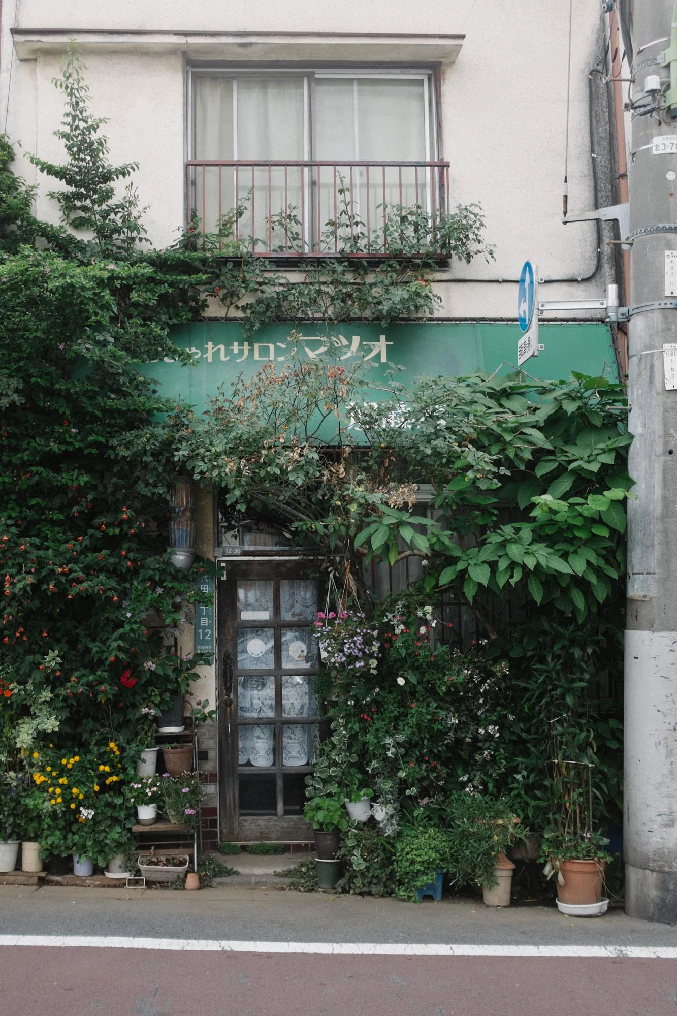 Marnie Hawson - Japan, Winter 2015