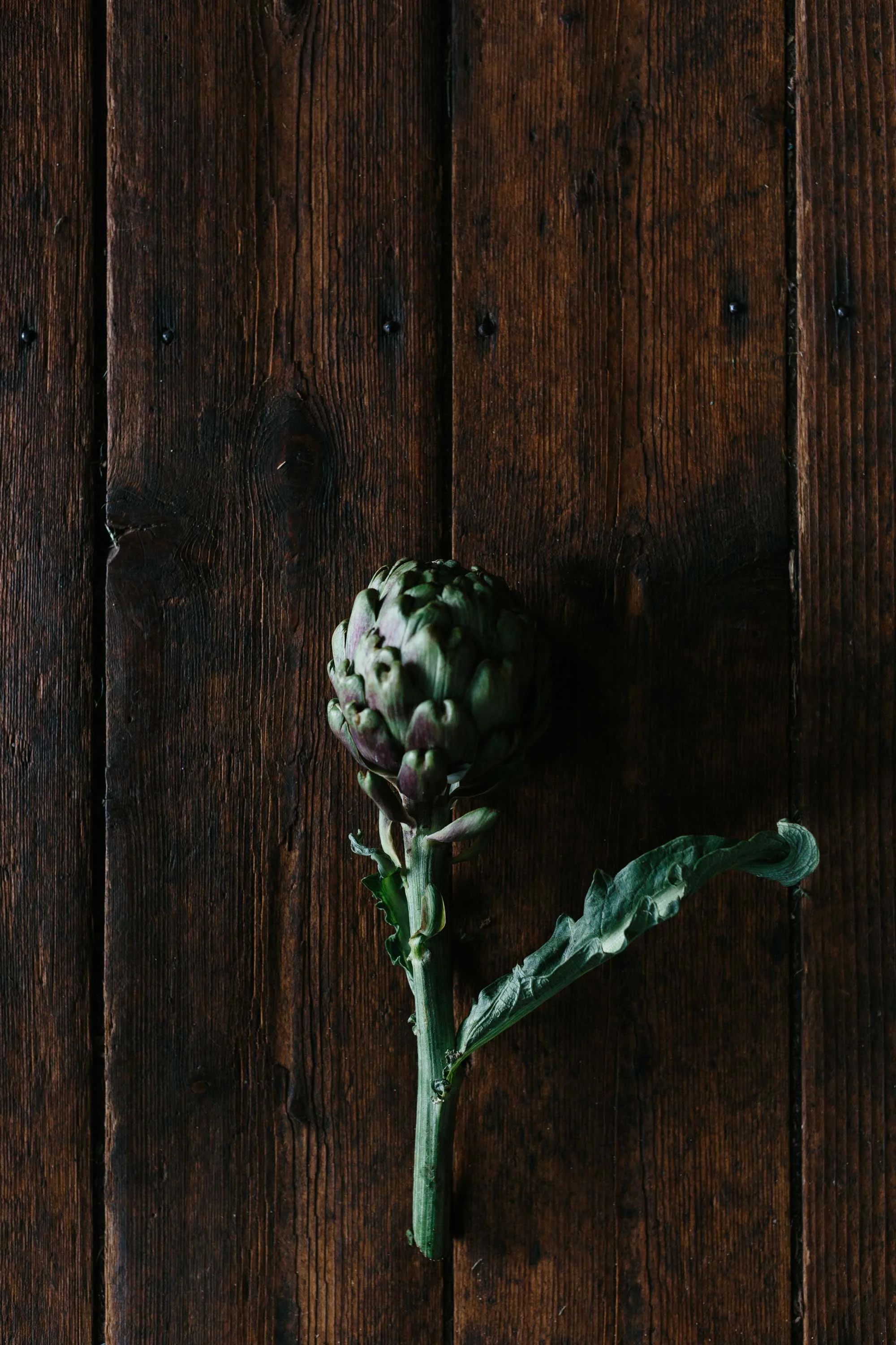 Marnie Hawson Melbourne food and lifestyle photographer