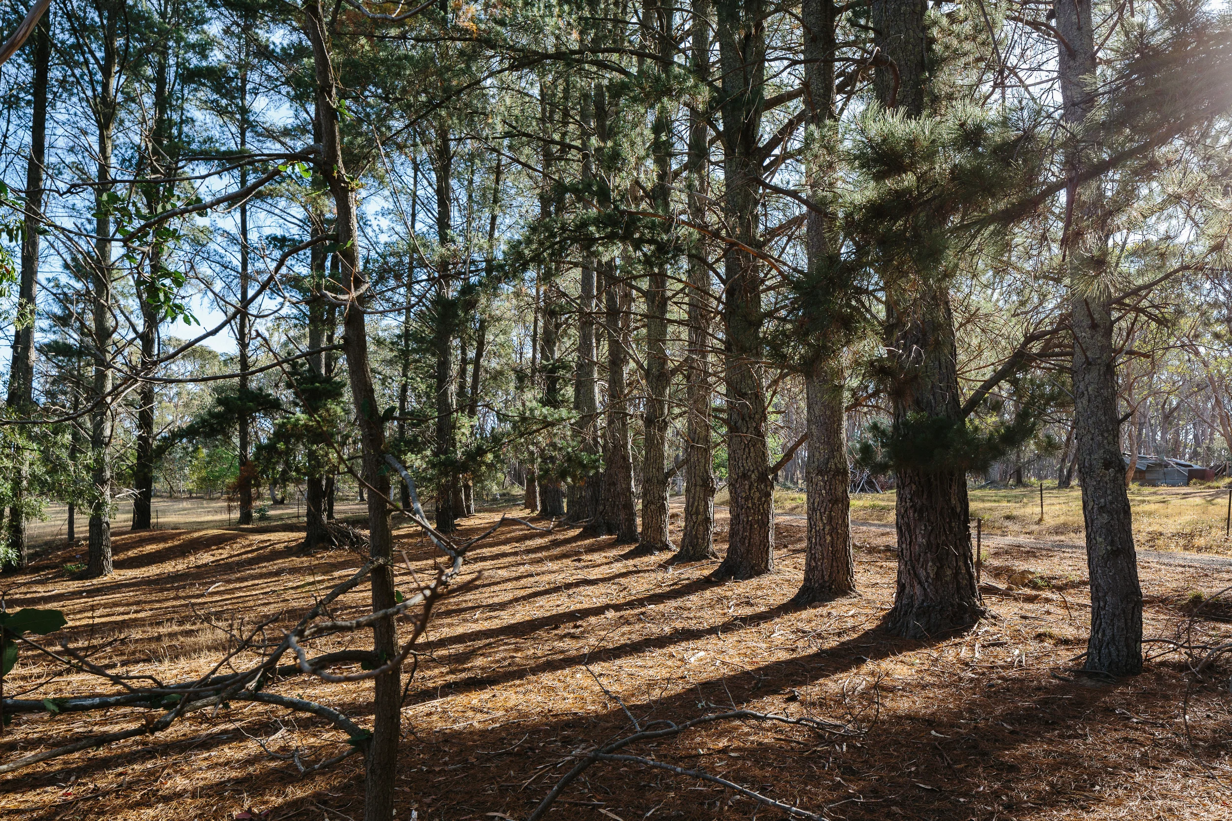 Marnie Hawson, Melbourne Interior Photographer for Airbnb and The Shack, Lauriston