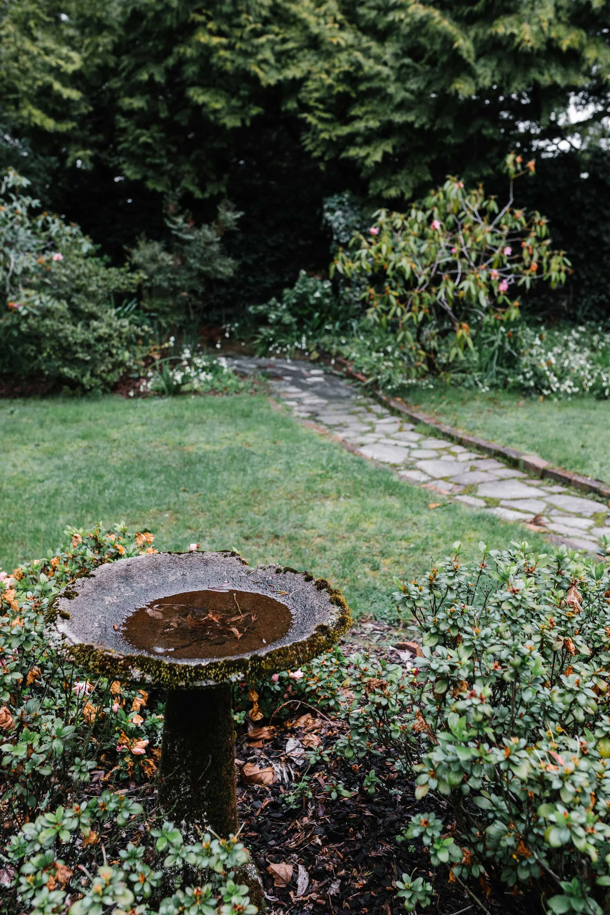 Home Hill, Devonport Tasmania for The National Trust. Photo: Marnie Hawson