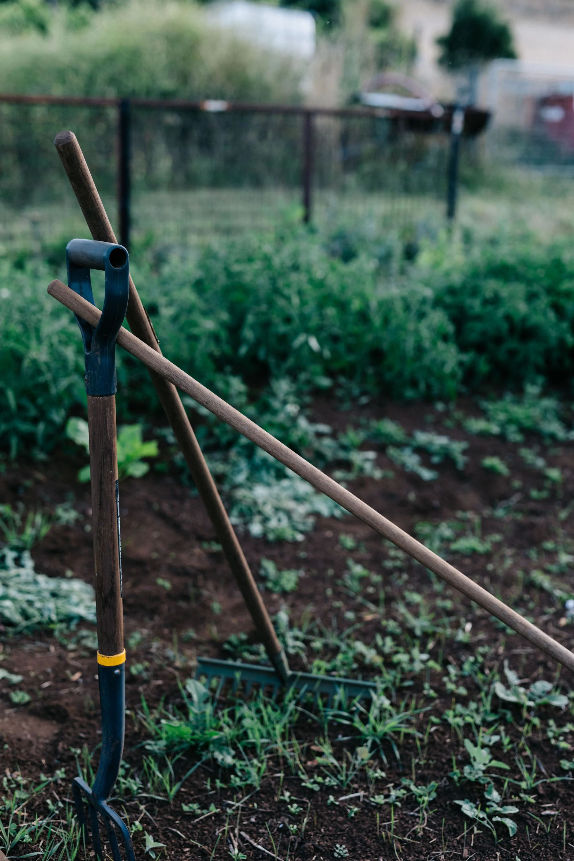 Marnie Hawson, Melbourne lifestyle photographer for Passing Clouds Winery, Musk