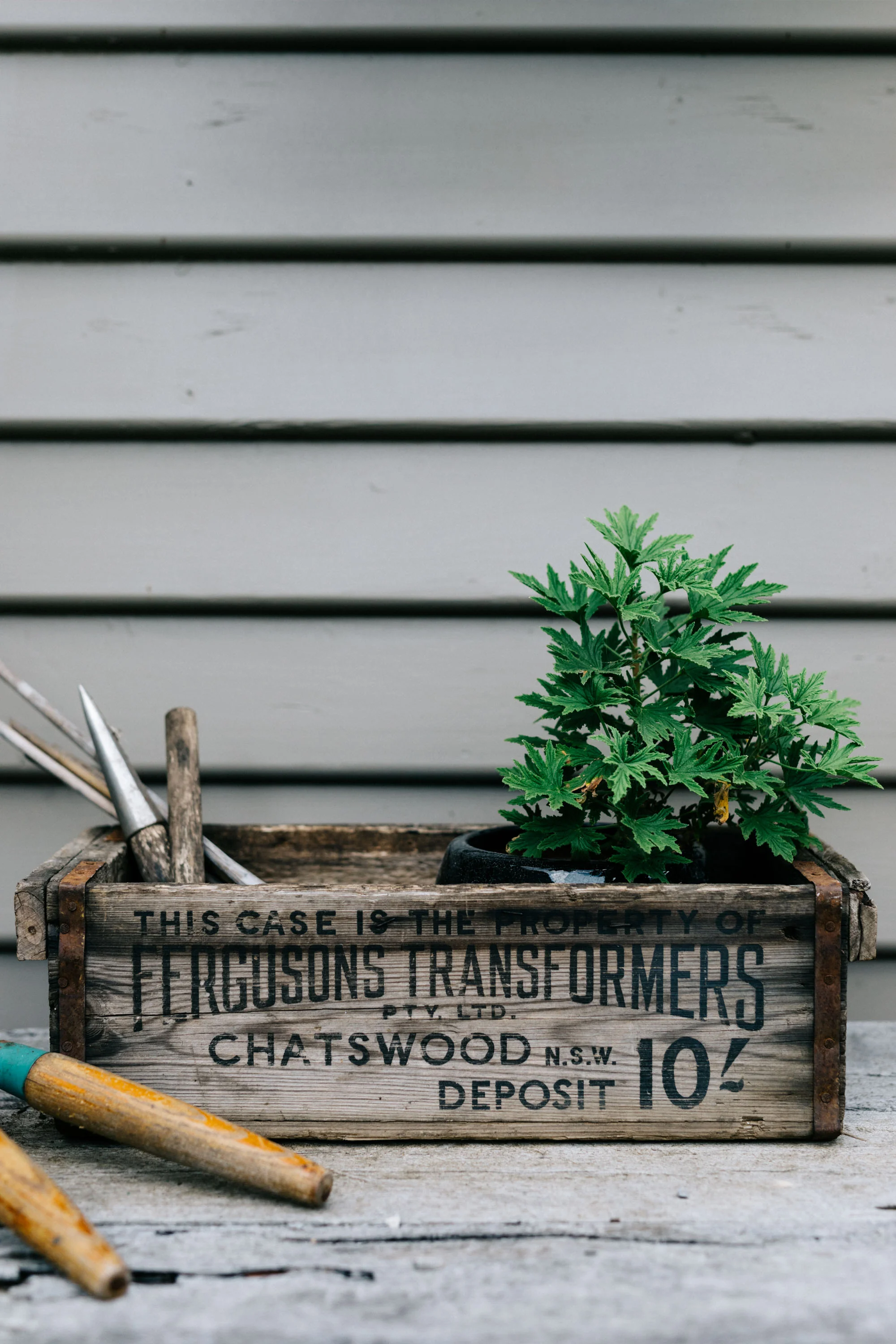 Marnie Hawson, Melbourne interior photographer for the River House, Lauriston
