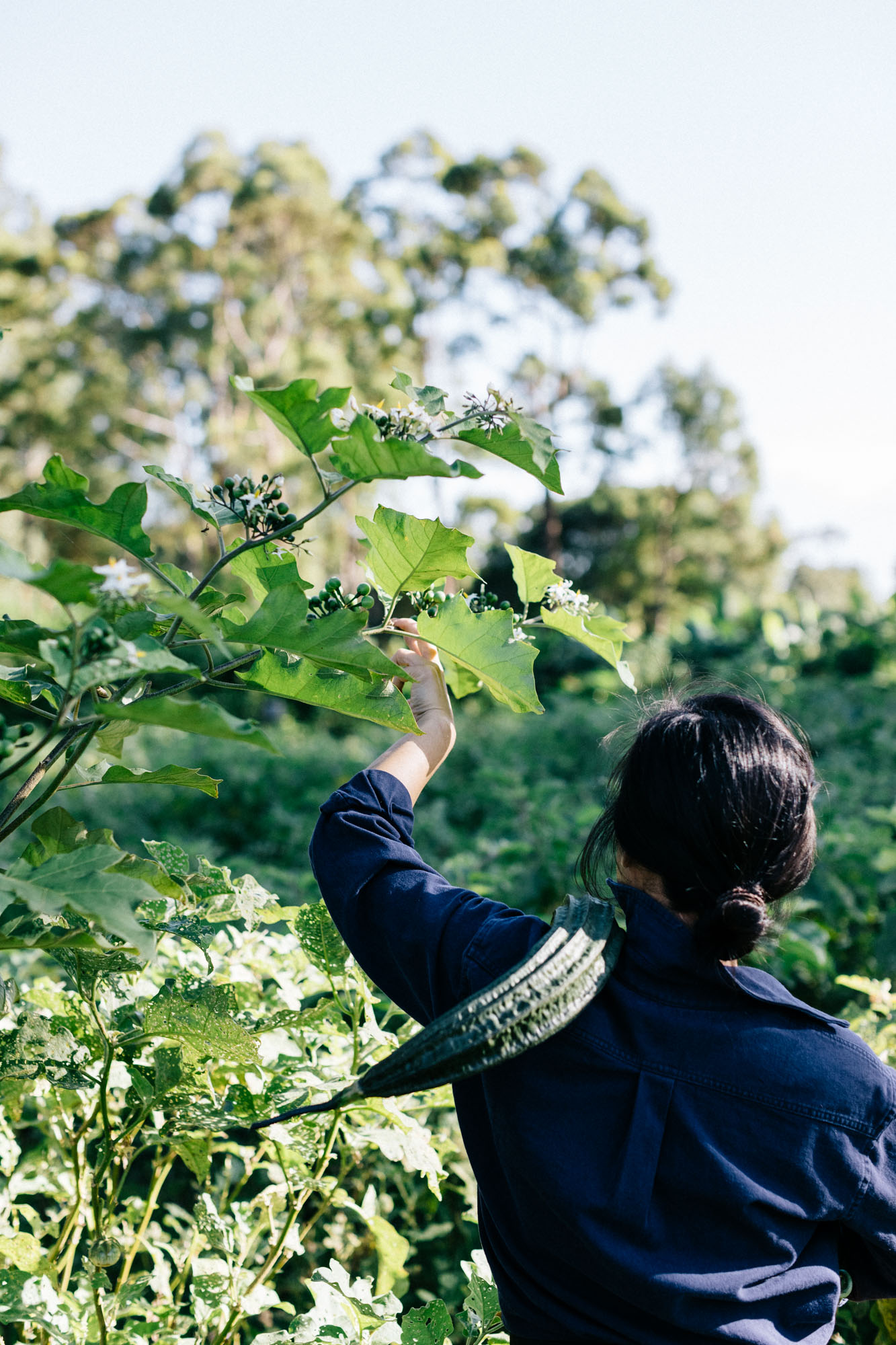 Marnie Hawson, ethical lifestyle photographer for Boon Luck organic farm and Country Style magazine