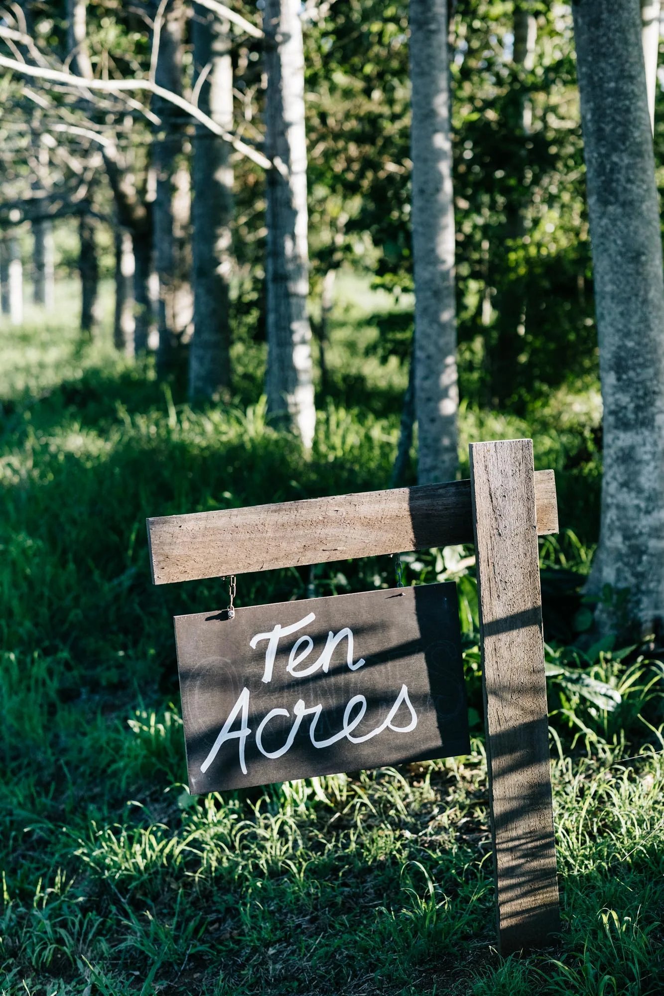 Marnie Hawson, Melbourne lifestyle photographer for Country Style and Ten Acres Farm, Ninderry QLD