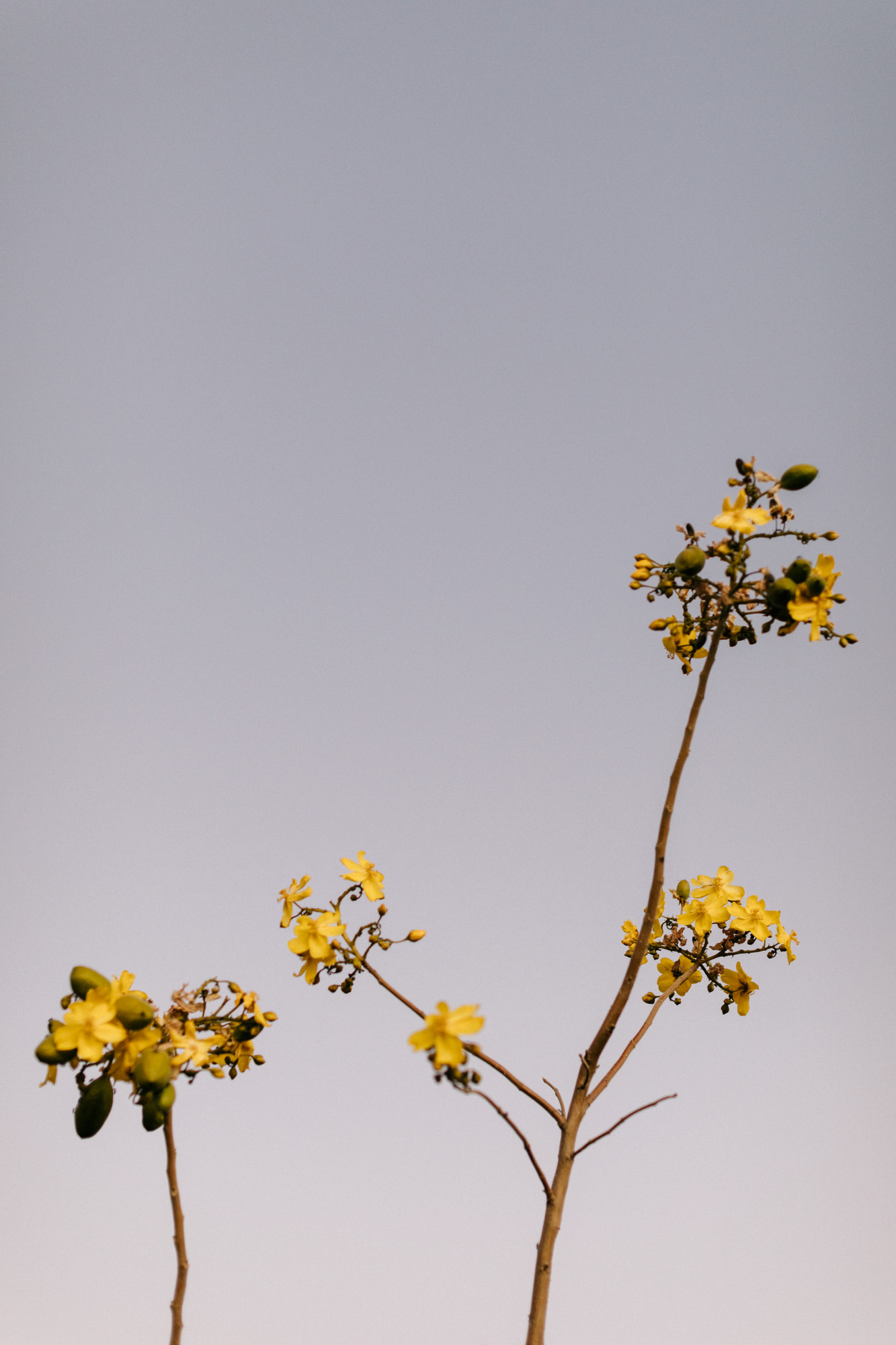 Melbourne travel photographer, Marnie Hawson, for Tourism WA and Country Style - Kununurra travel piece