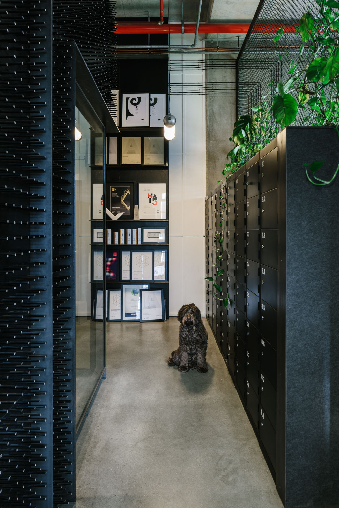 Marnie Hawson, Melbourne interior photographer for Breathe Architects and Habitus magazine