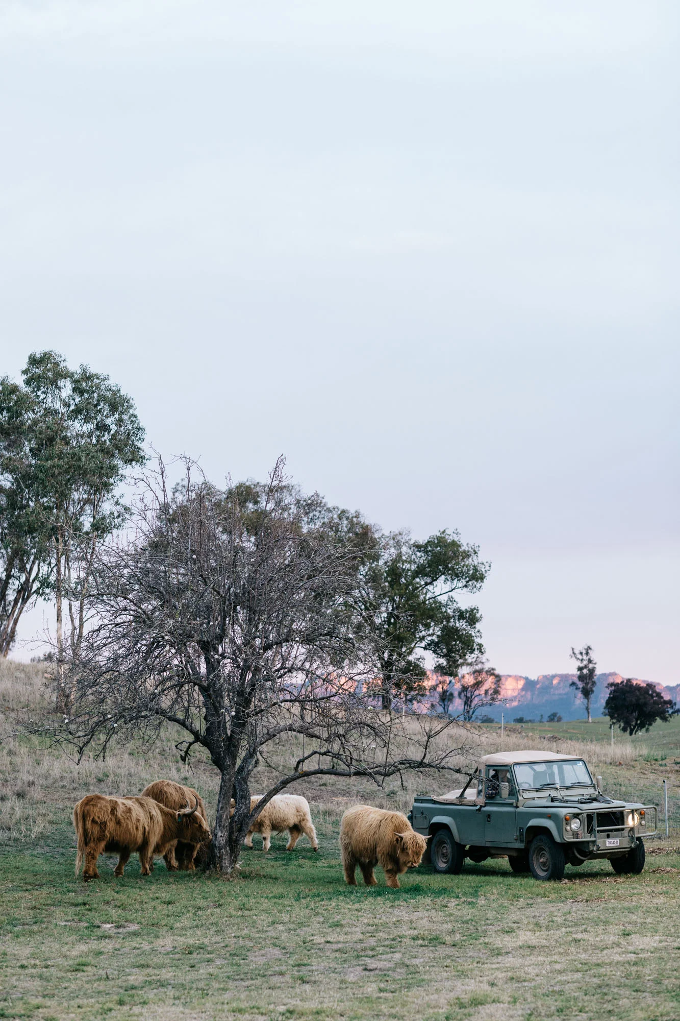 Edwina + Neil Bartholomew at Warramba for Country Style. Photography by Marnie Hawson, styling by Hannah Brady.
