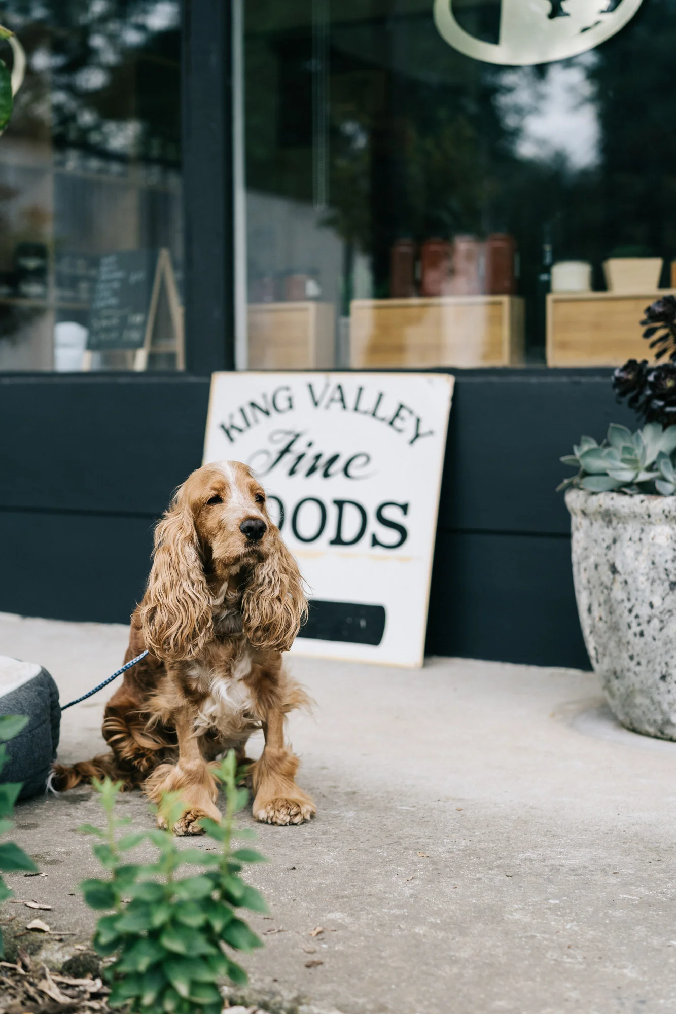 Melbourne travel photographer Marnie Hawson for Airbnb in the King Valley, VIC