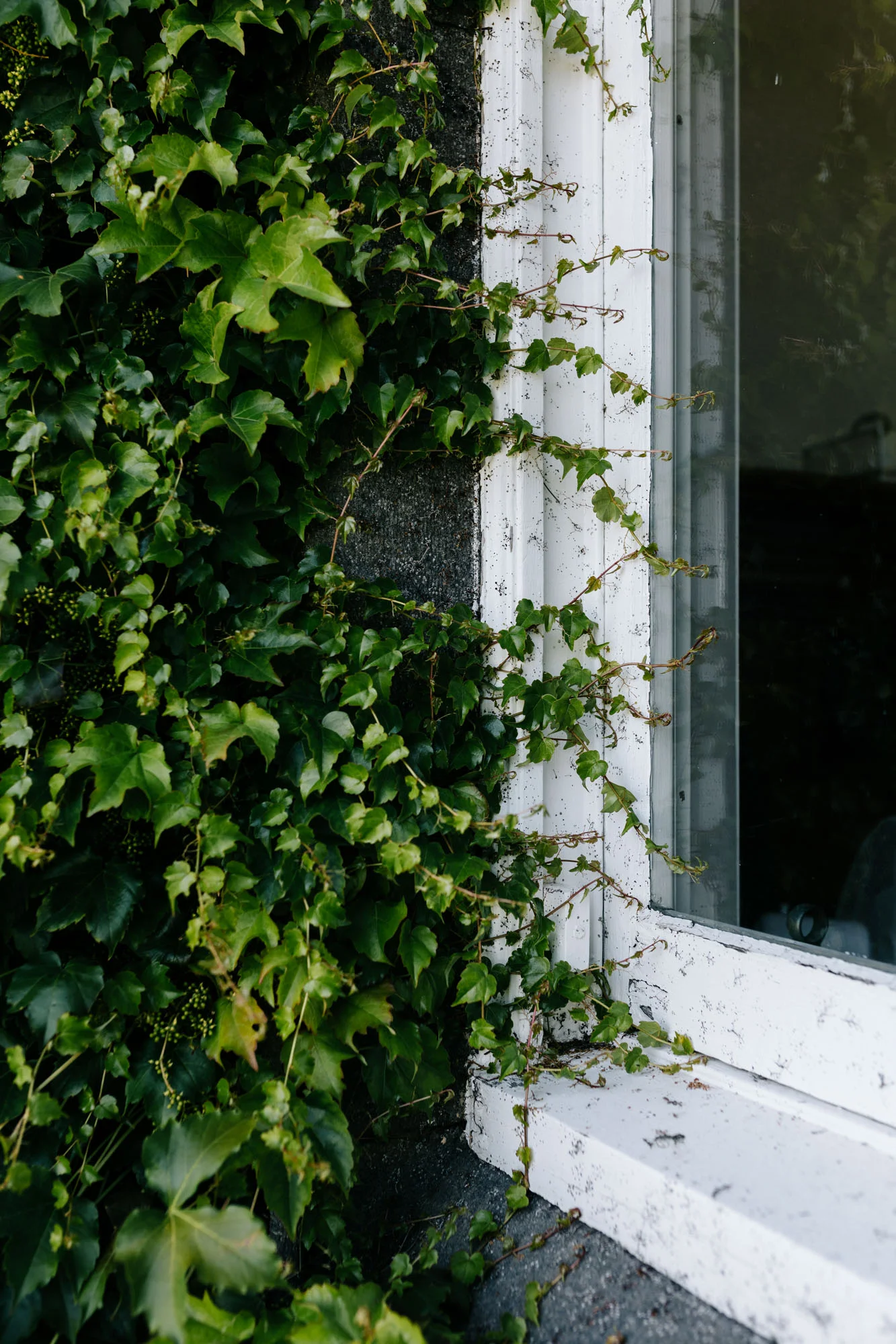 Barunah Plains, Hesse for Country Style. Photography by Marnie Hawson and styling by Inside Story (Lynda Gardener + Belle Hemming)