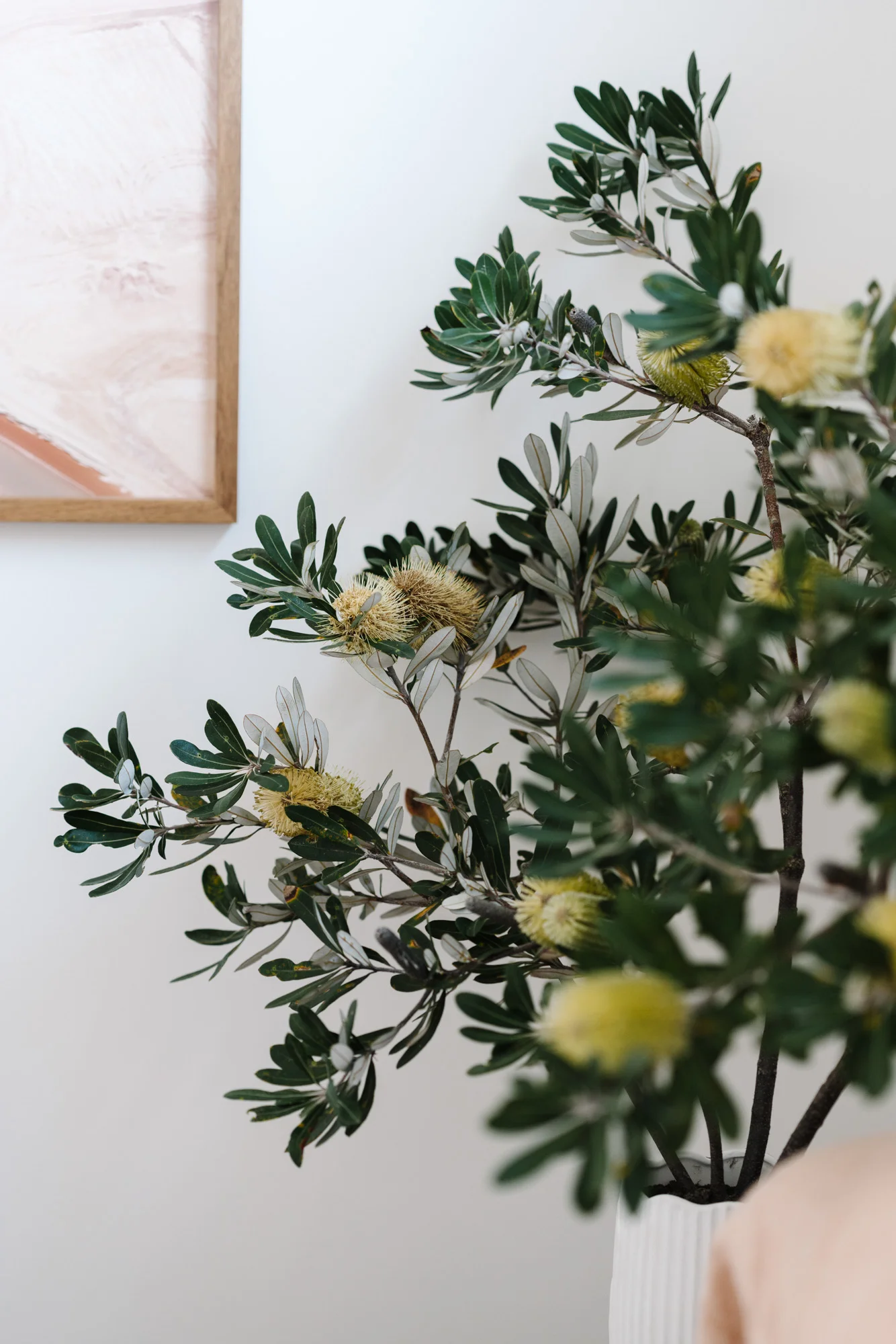 Purpose-driven photographer Marnie Hawson for The Sociable Weaver and The Bungalow, Cape Paterson Eco-Village.