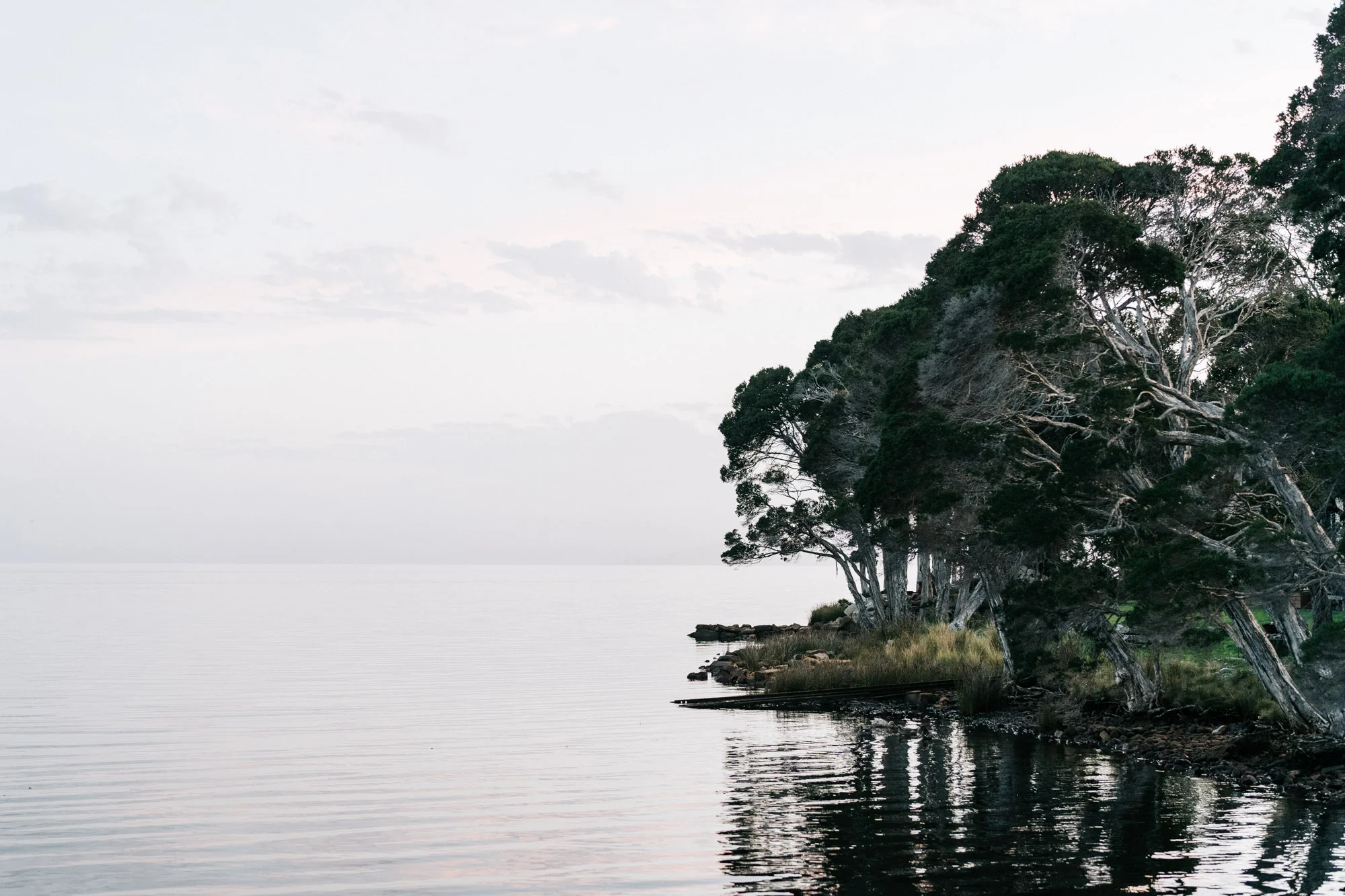 Captain's Rest_2019_low res-167.jpg