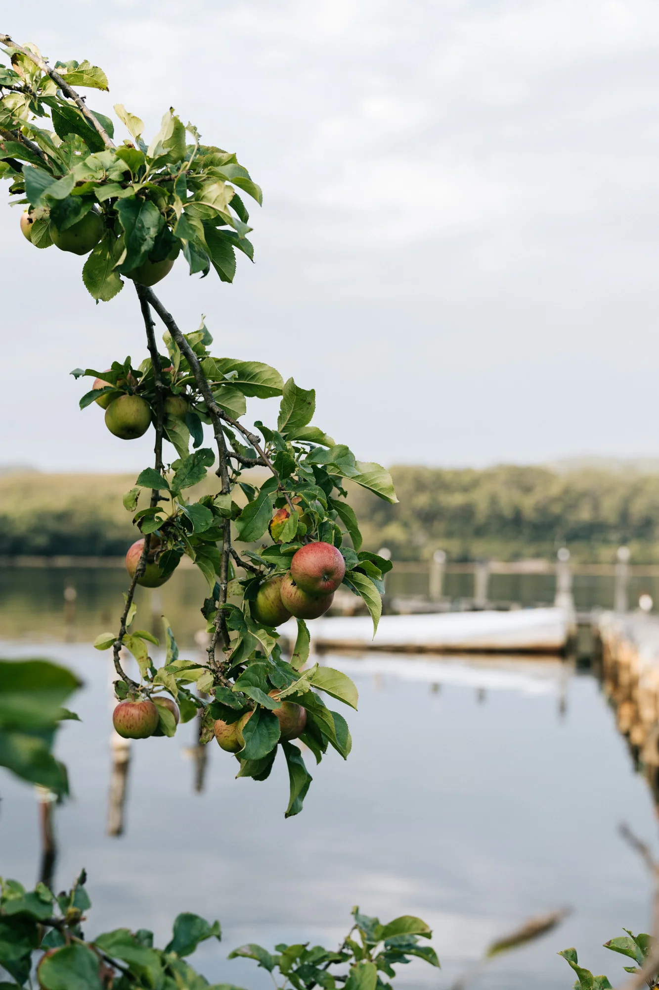 Marnie Hawson, Melbourne interior photographer for Captain's Rest, Strahan